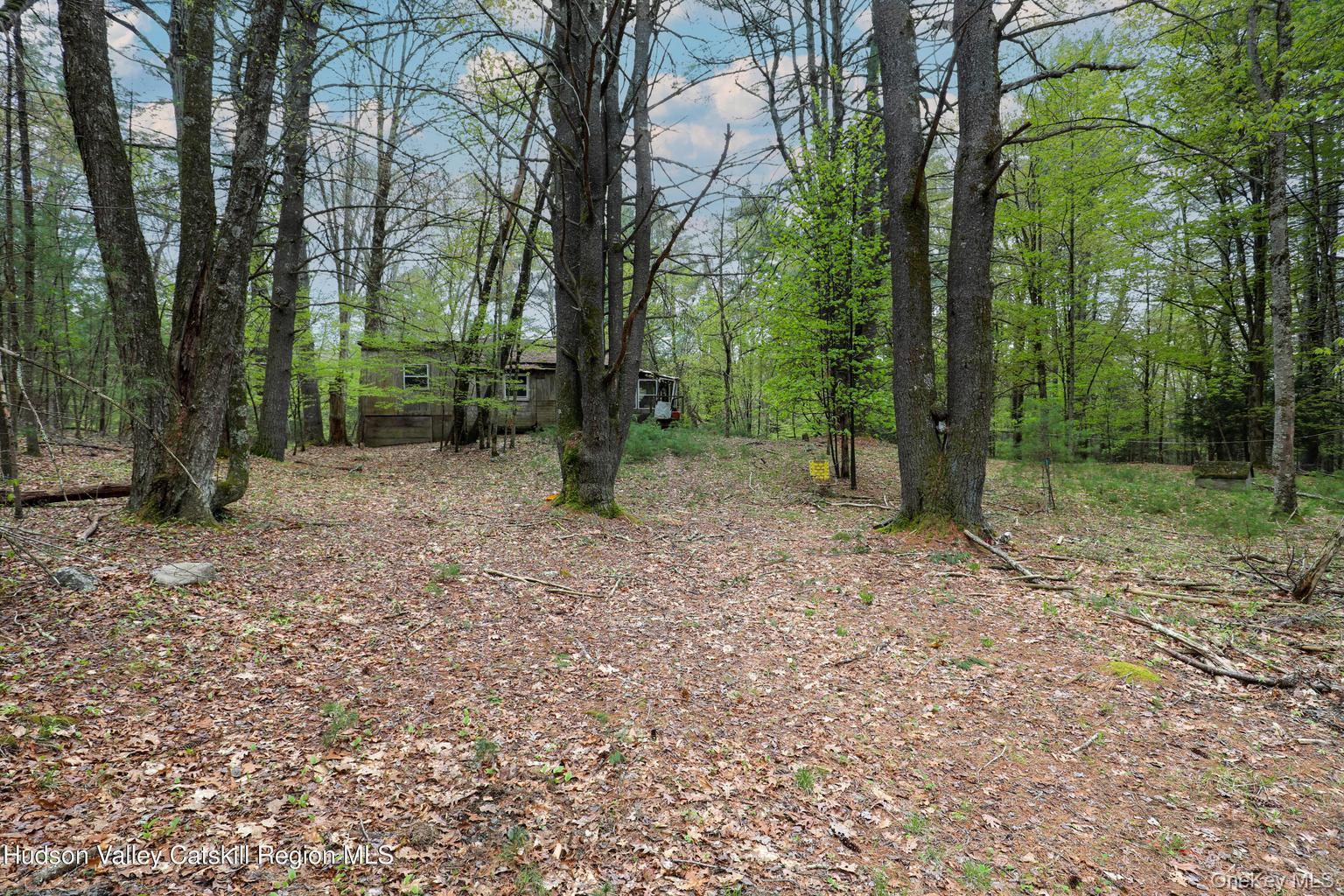 44 Pine Grove Road Property Photo 12