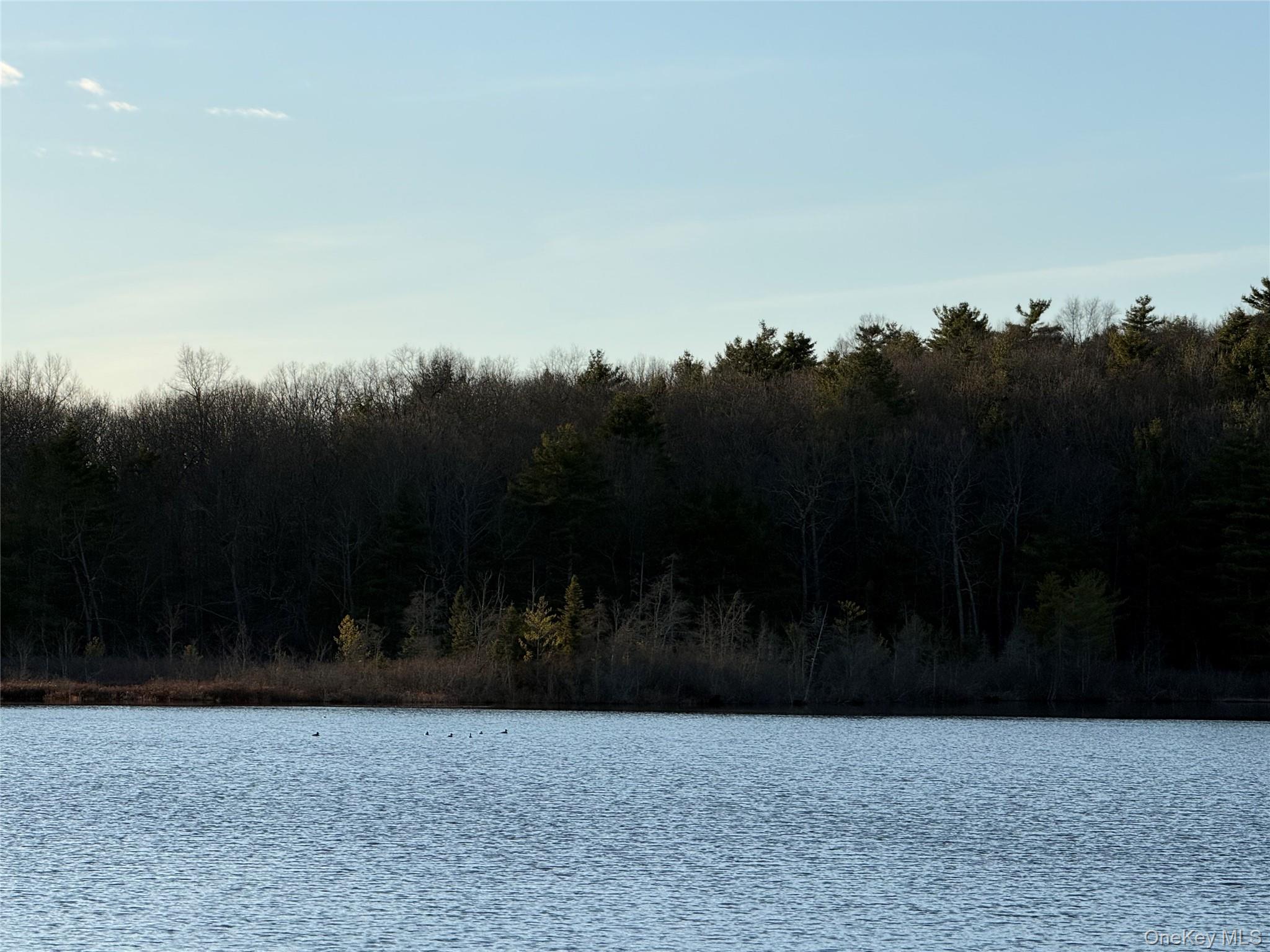 Browning Boulevard Property Photo 8
