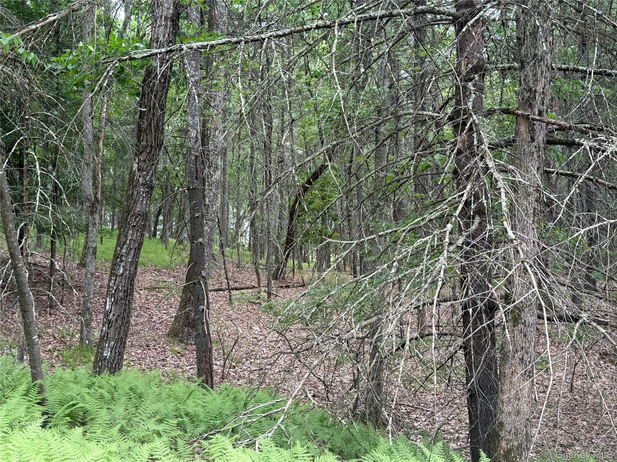 Browning Boulevard Property Photo 20