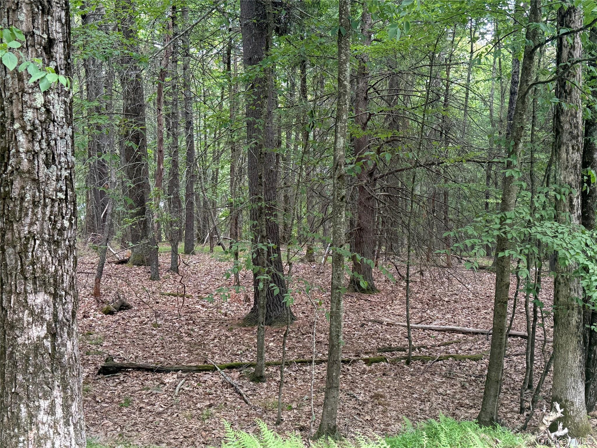 Browning Boulevard Property Photo 21