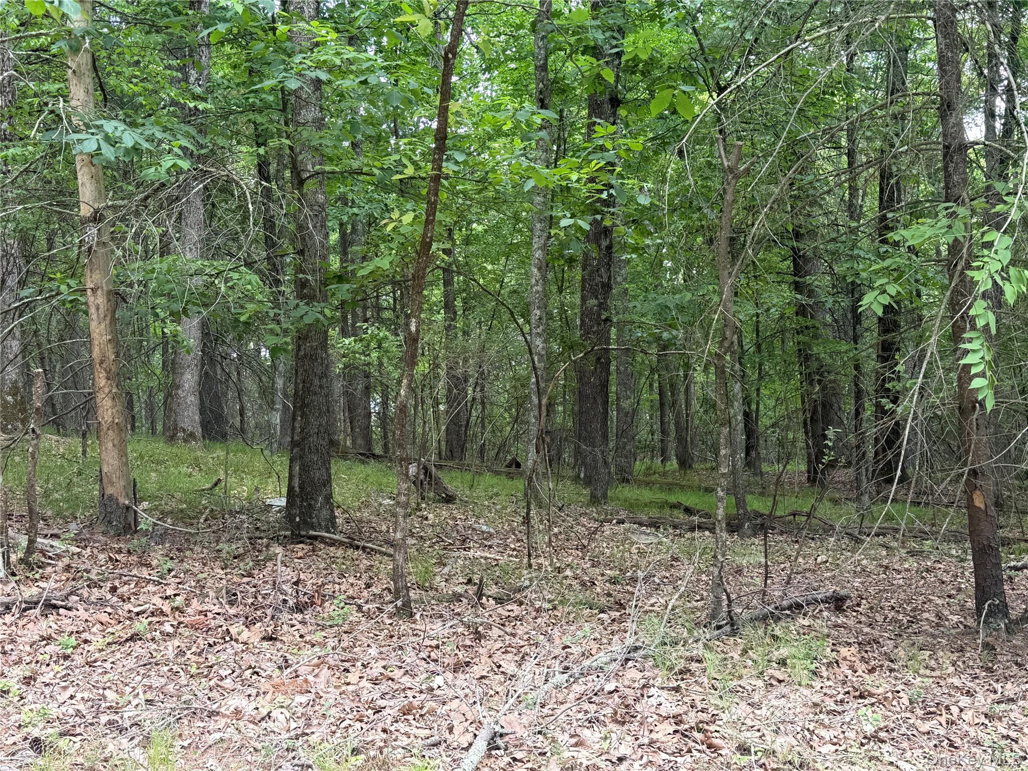 Browning Boulevard Property Photo 22