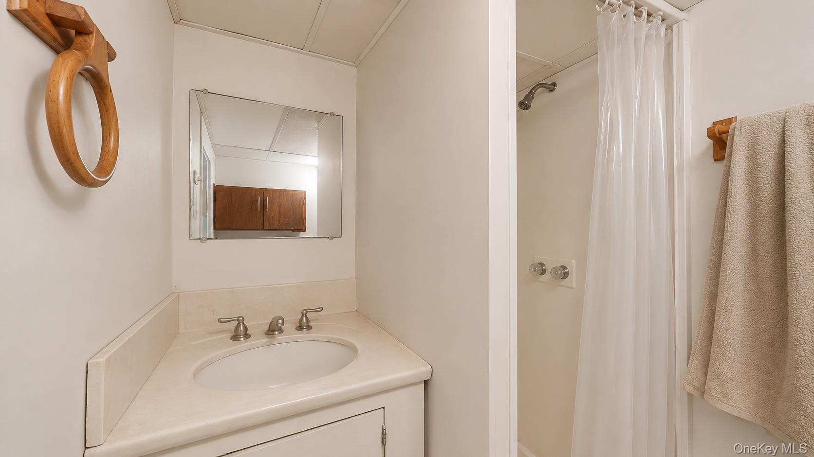 294 Schenck Avenue Property Photo 16