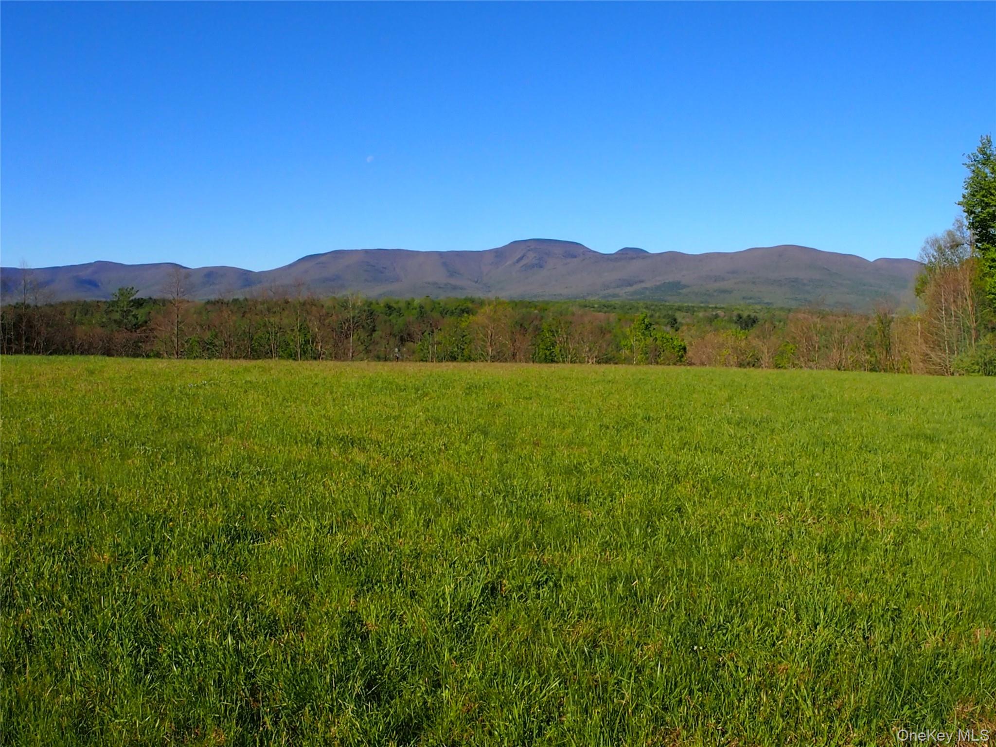 8207 Route 32 Property Photo 2