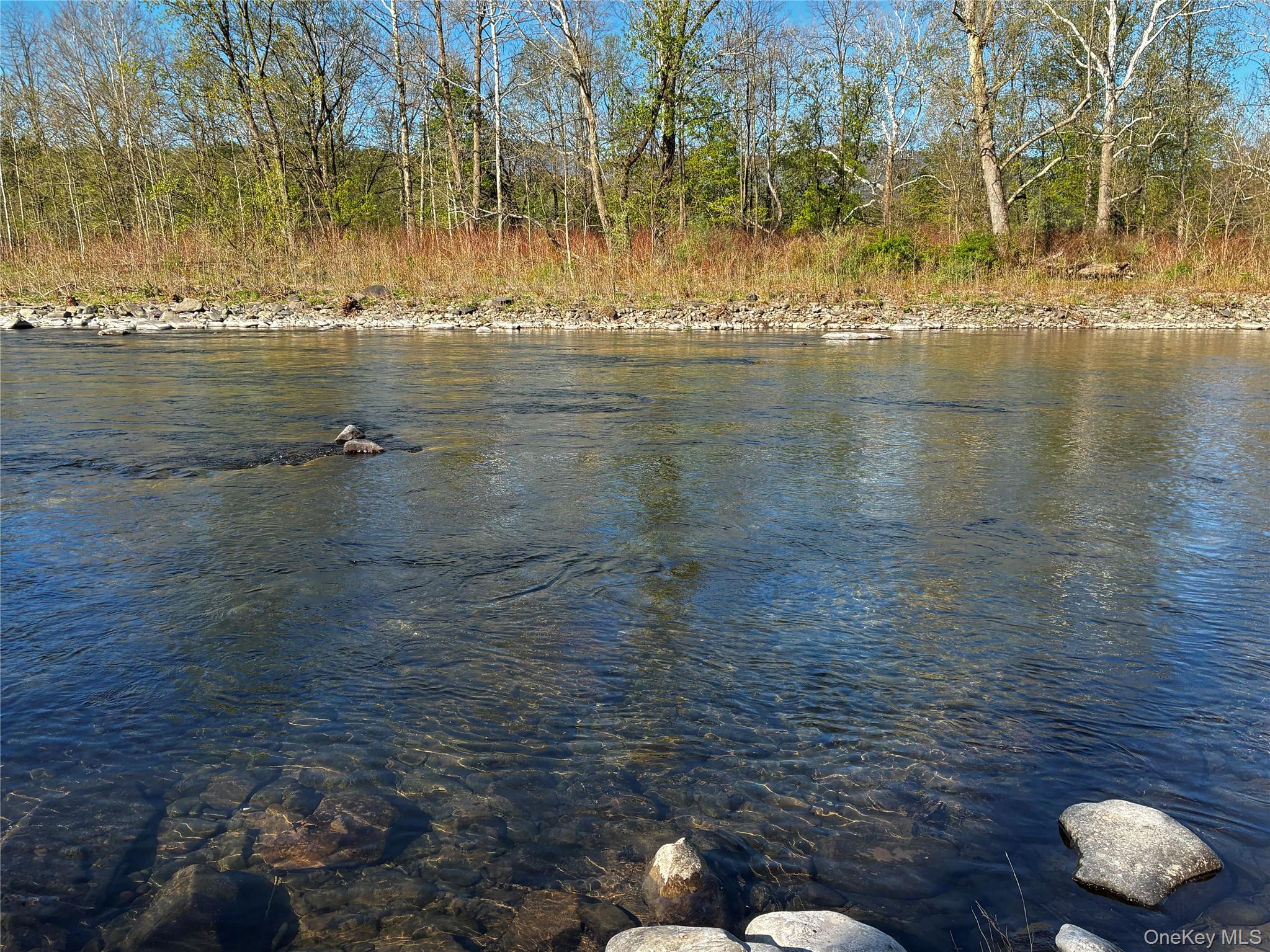 8207 Route 32 Property Photo 7