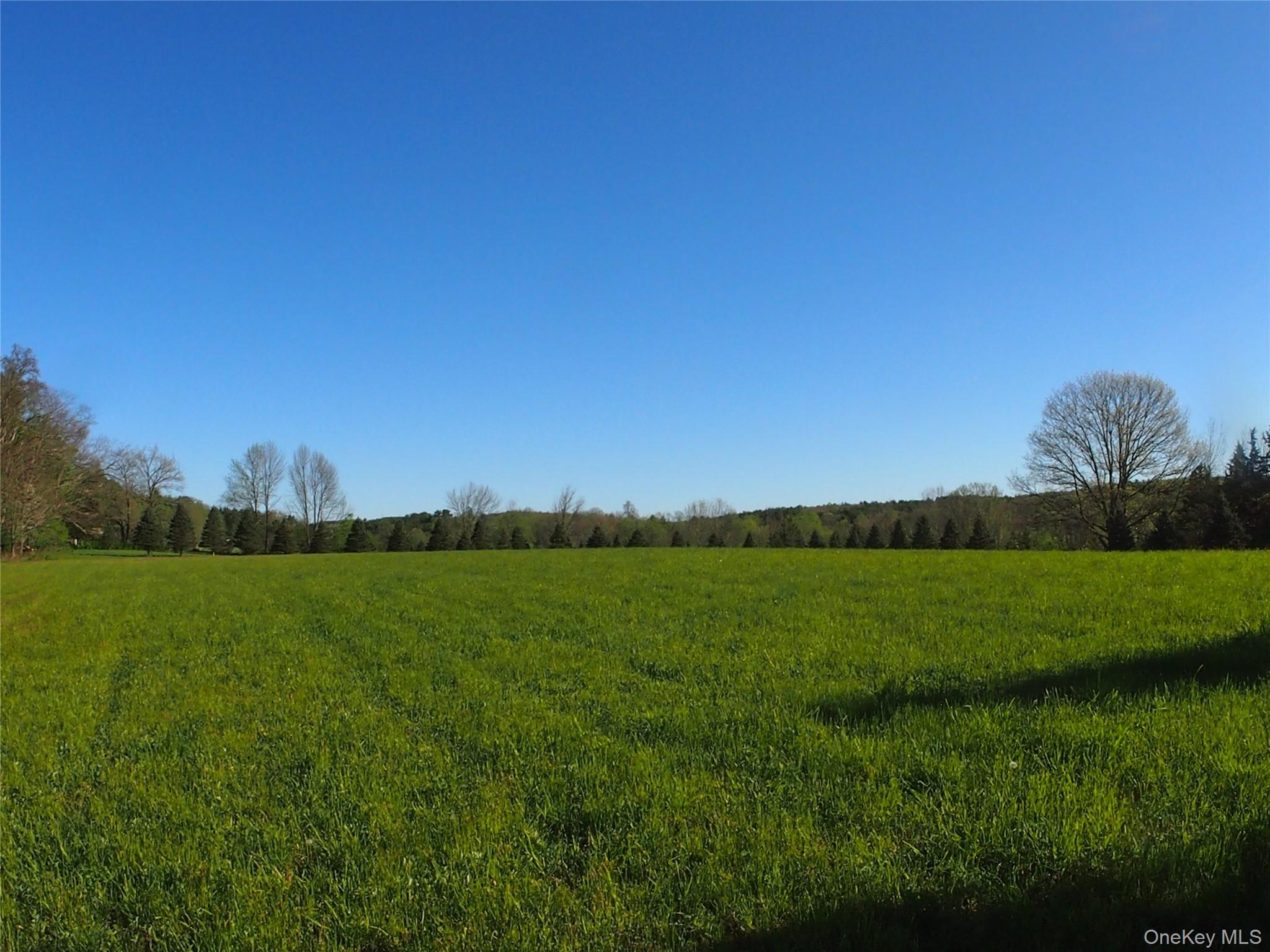 8207 Route 32 Property Photo 8