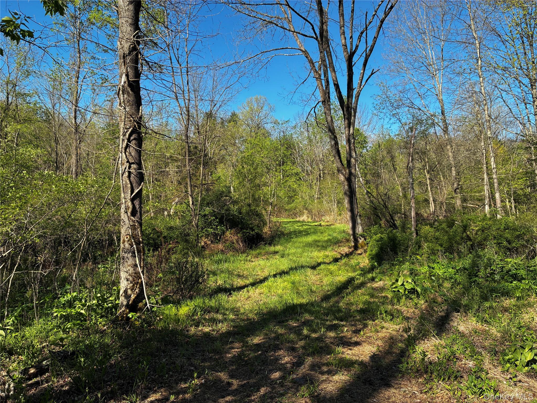8207 Route 32 Property Photo 9