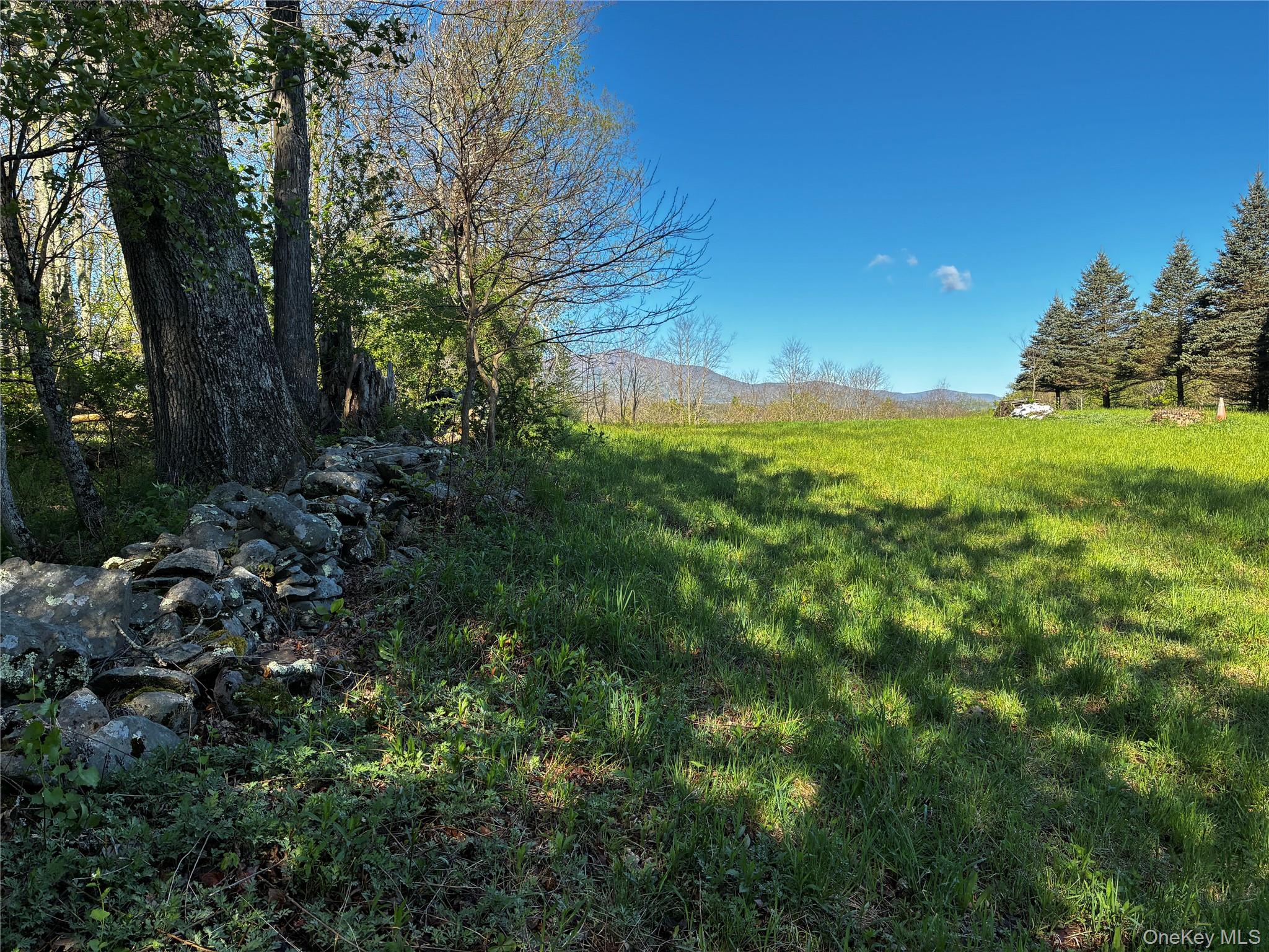 8207 Route 32 Property Photo 10
