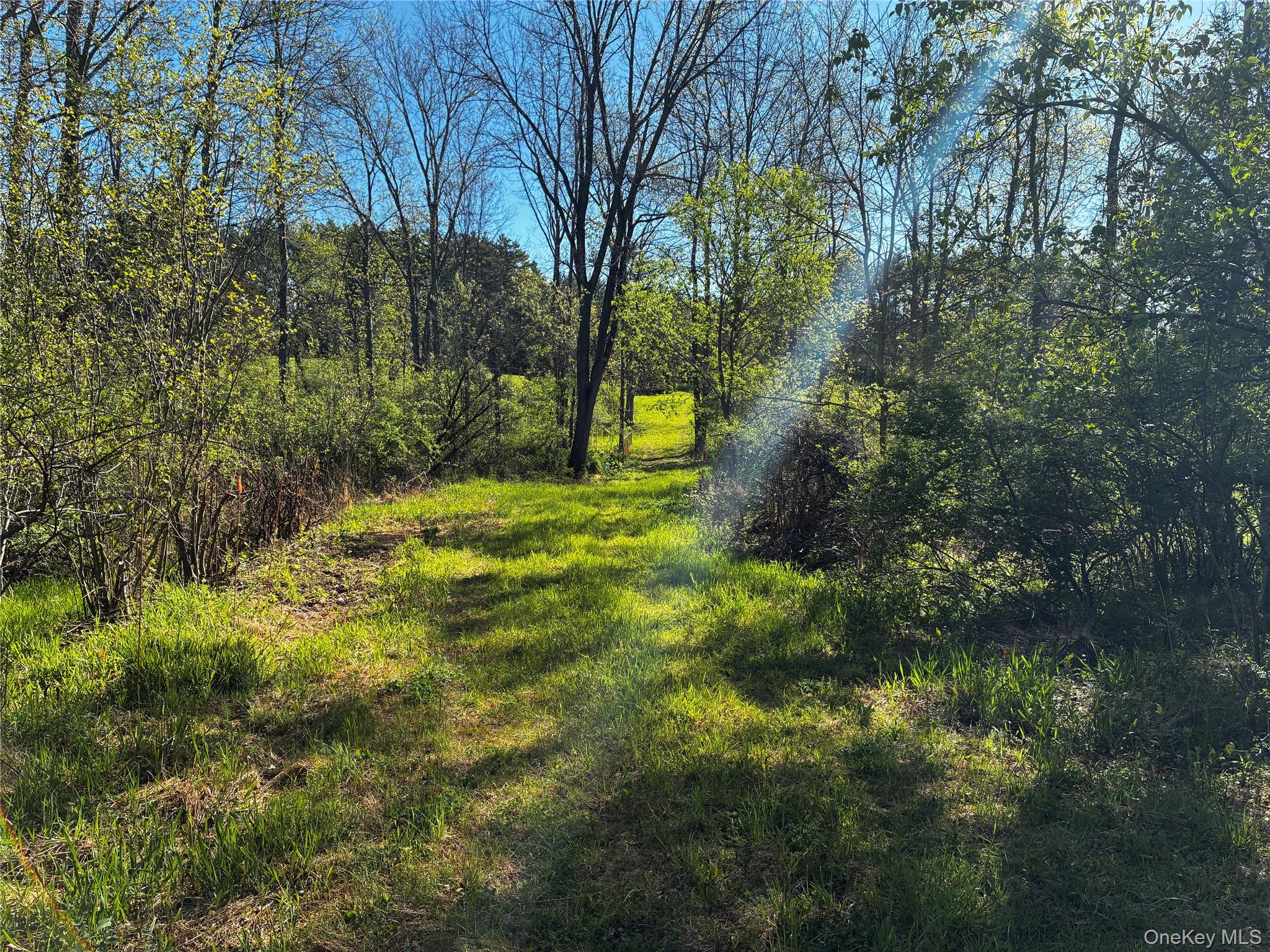 8207 Route 32 Property Photo 11