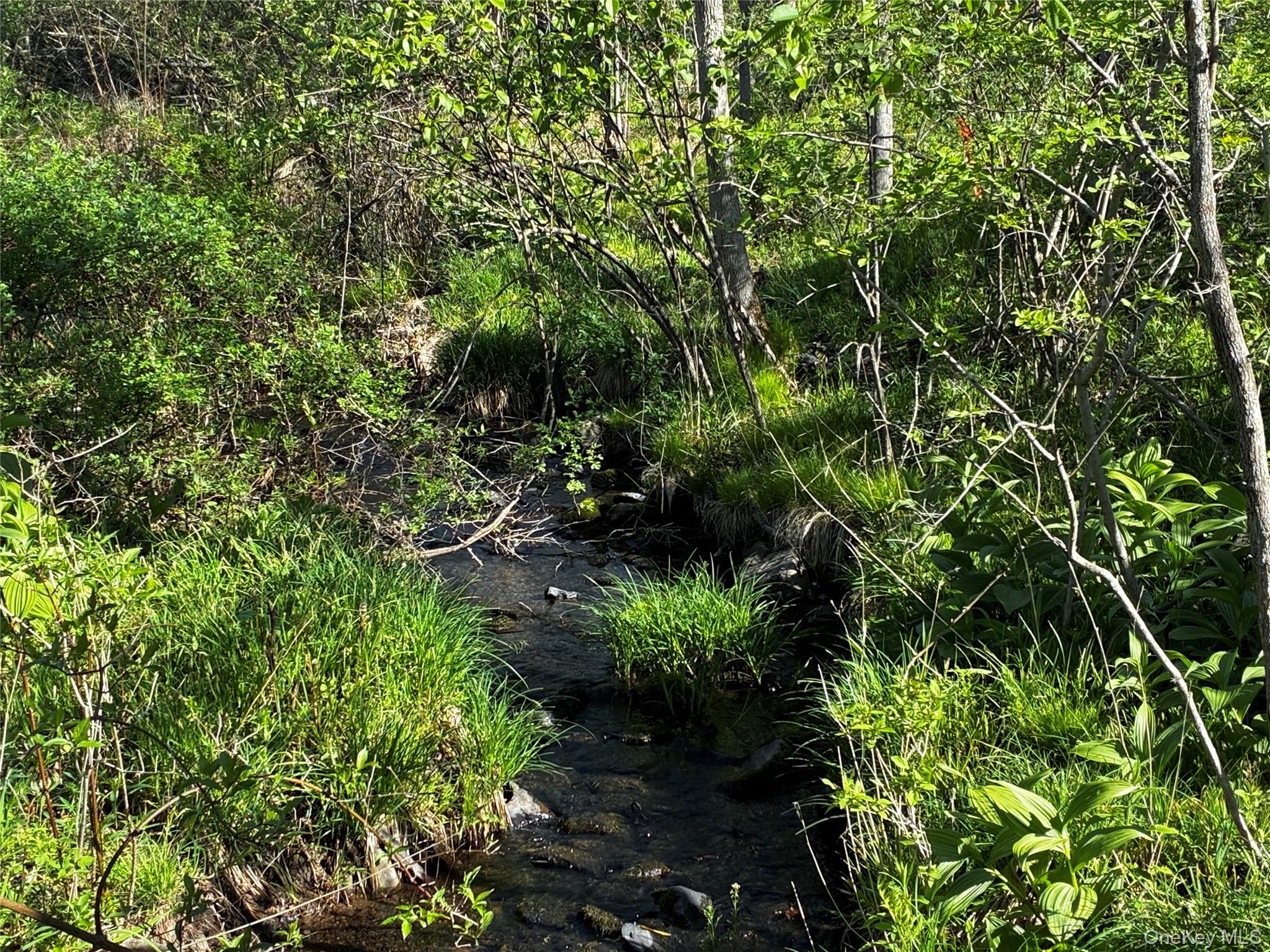 8207 Route 32 Property Photo 12