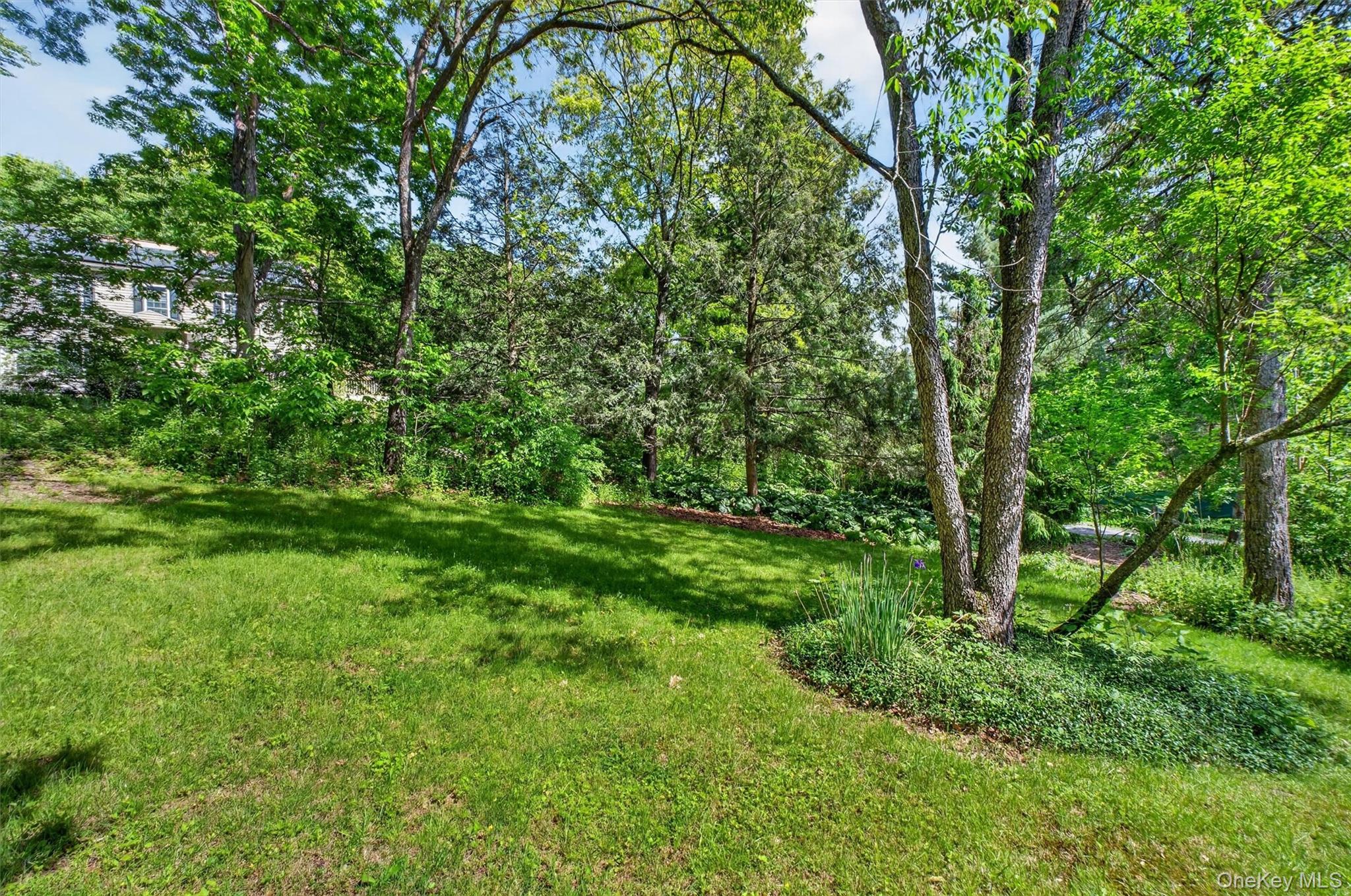60 Eddy Road Property Photo 4