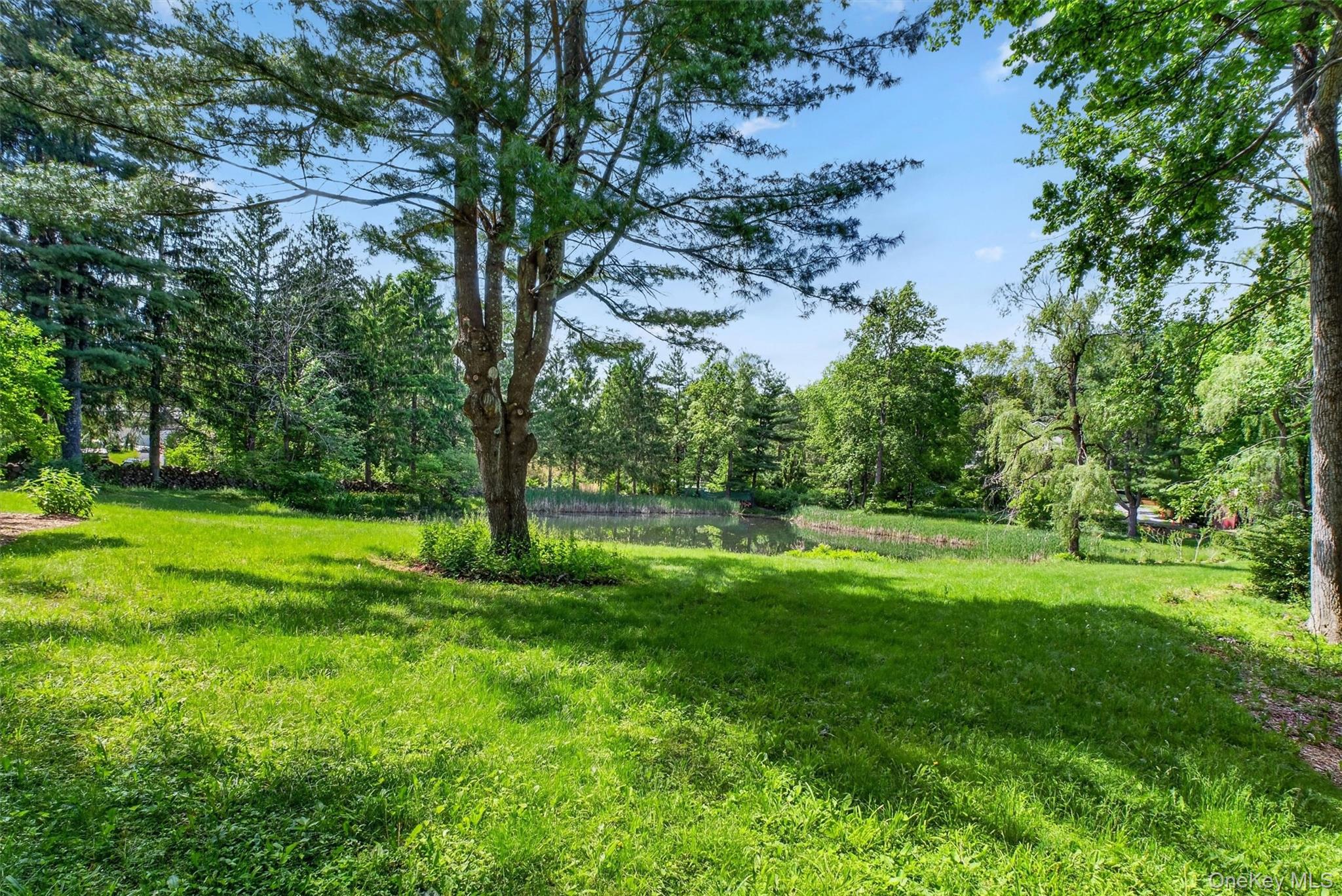 60 Eddy Road Property Photo 33