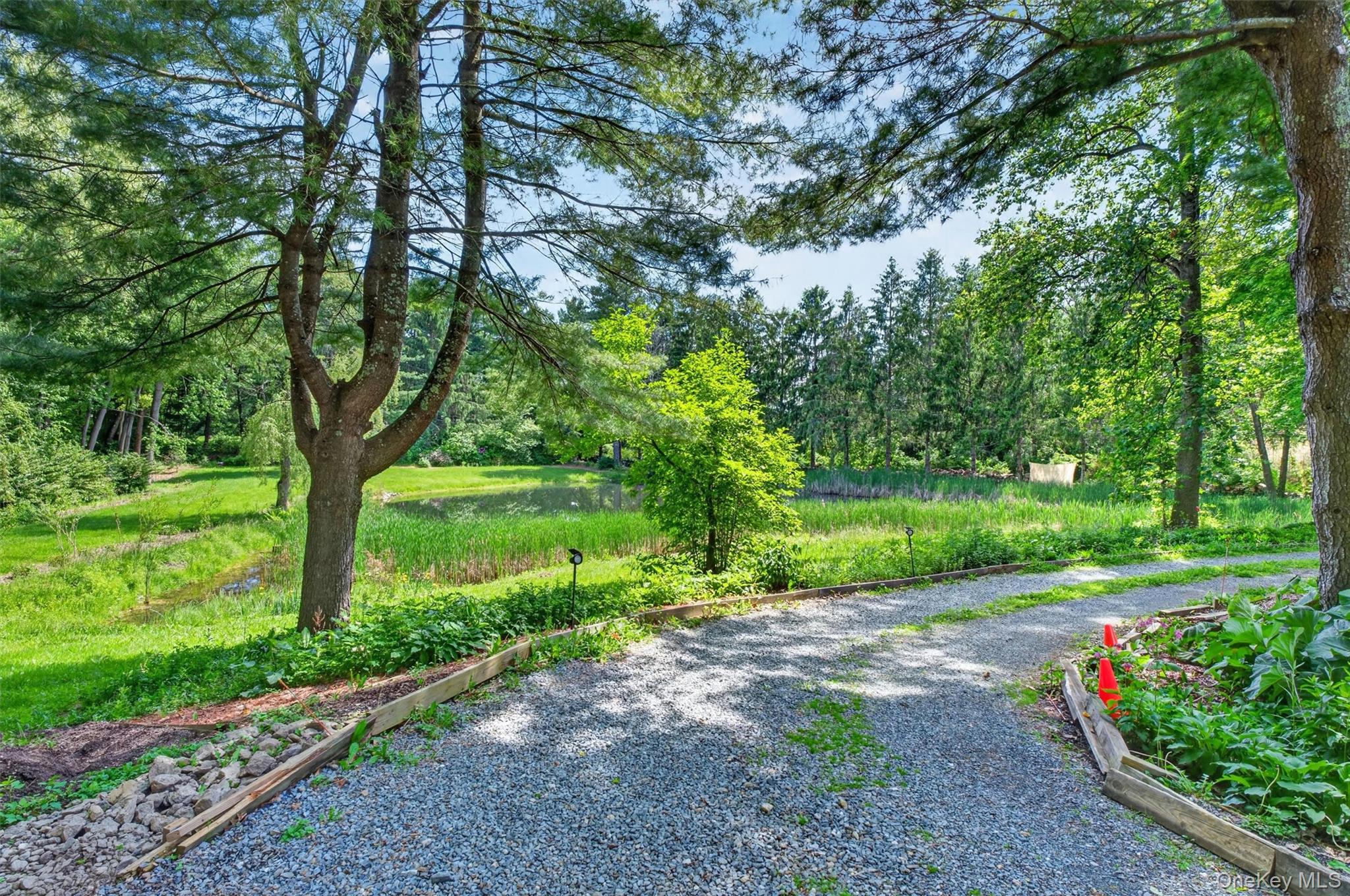 60 Eddy Road Property Photo 34