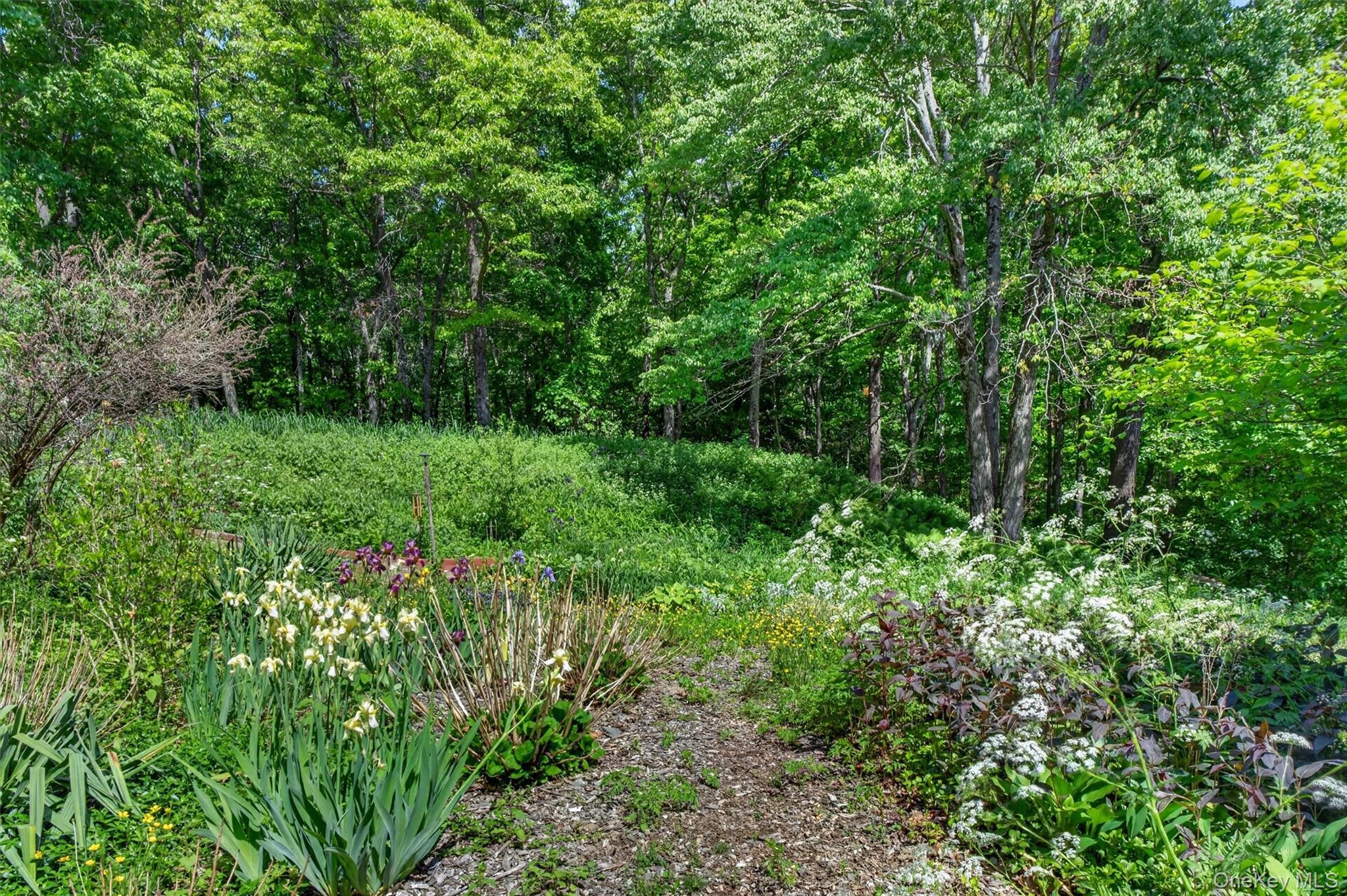 60 Eddy Road Property Photo 35