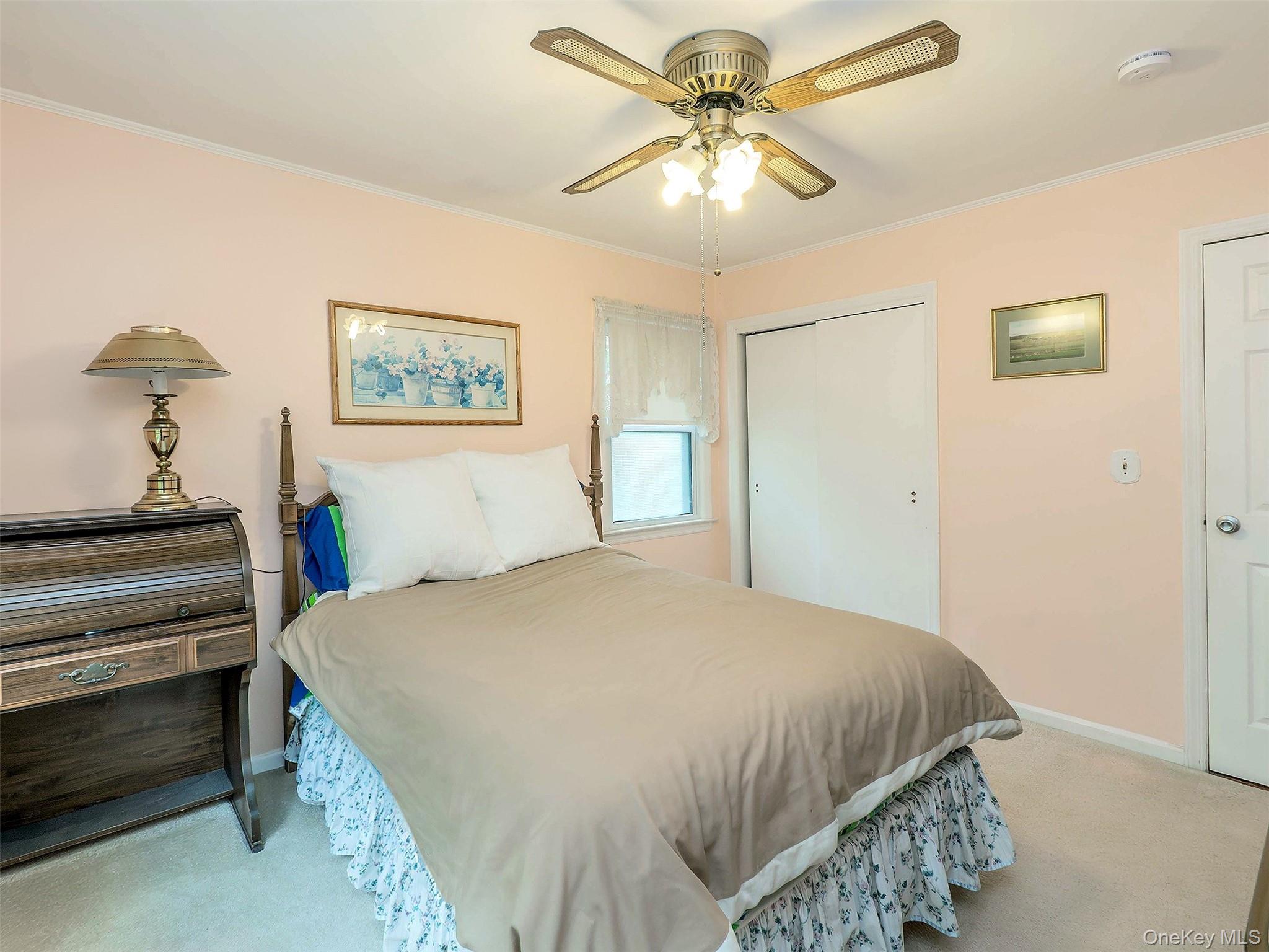 38 Pell Terrace Property Photo 17