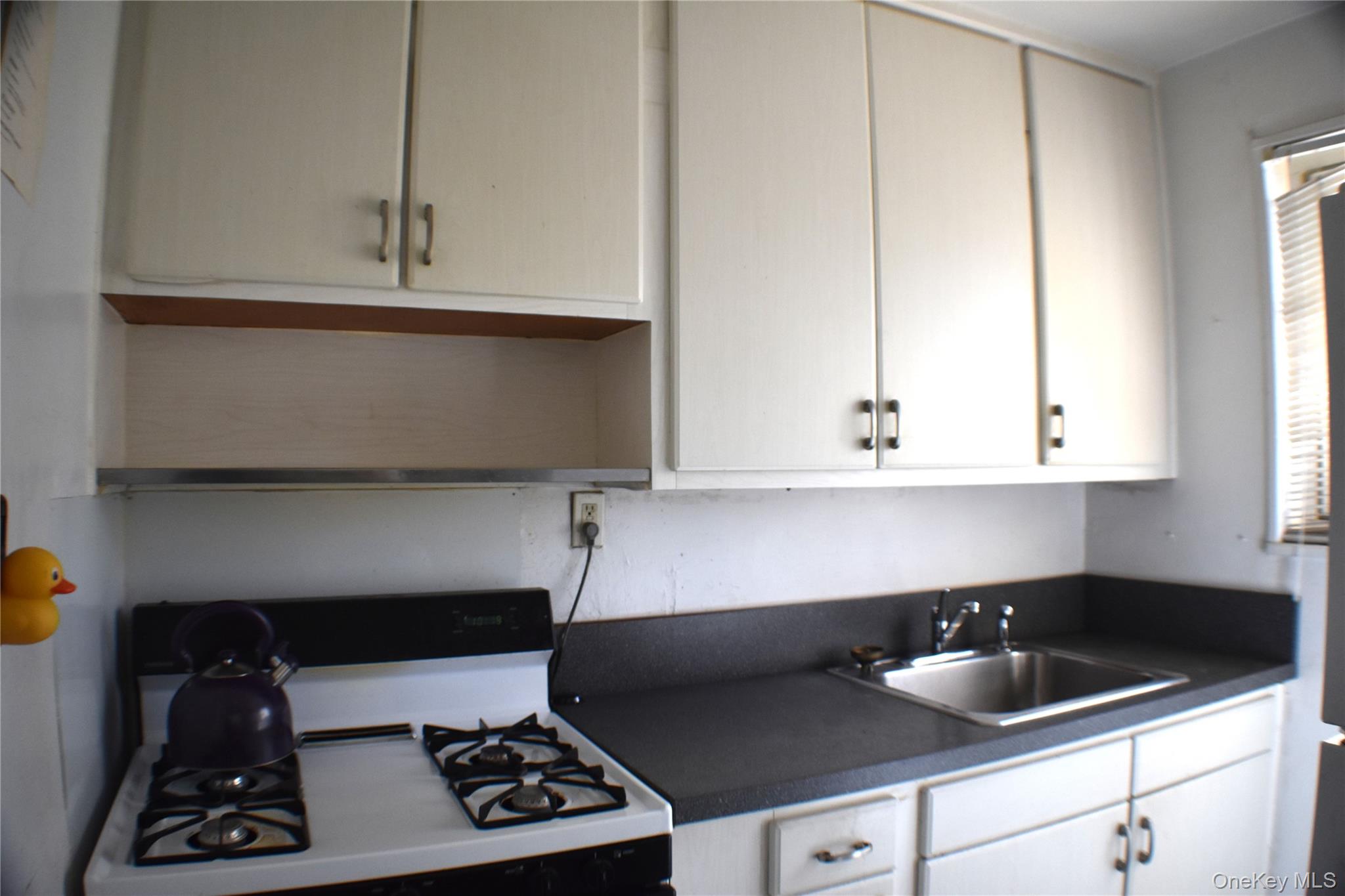 228-14 Stronghurst Avenue 3113, Lower Level Property Photo 8