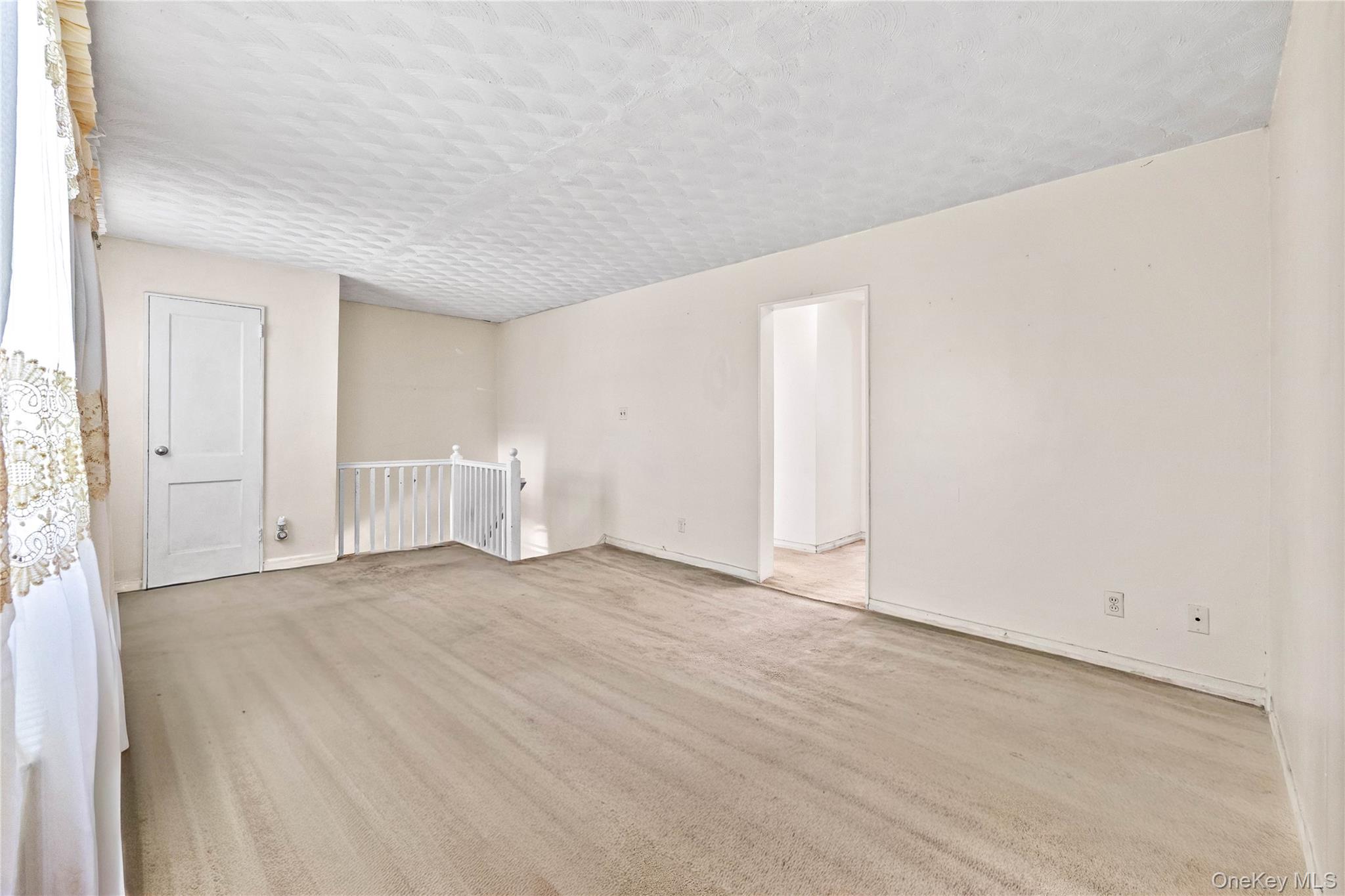223-52 65th Avenue 52b Property Photo 3