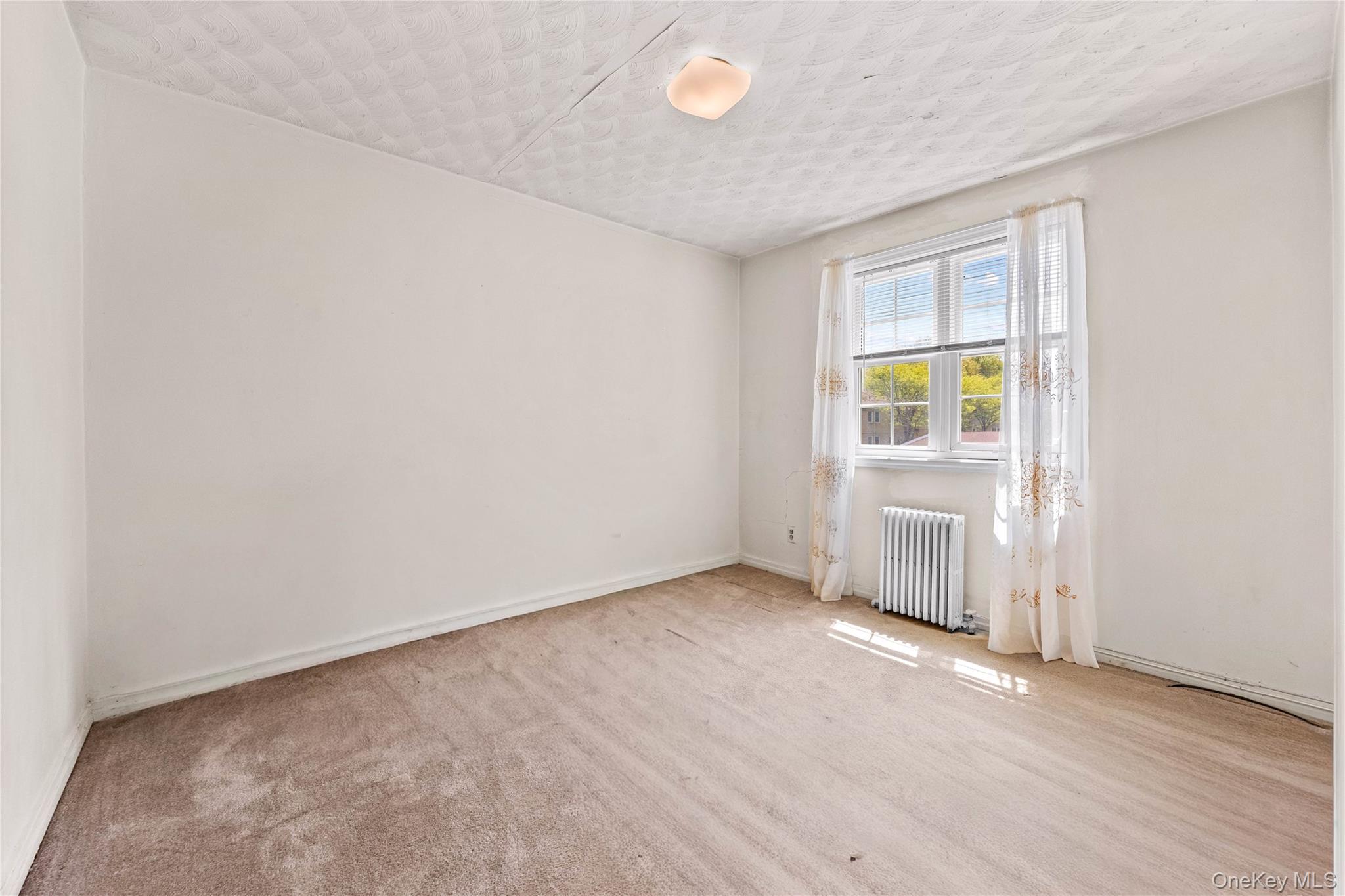 223-52 65th Avenue 52b Property Photo 11