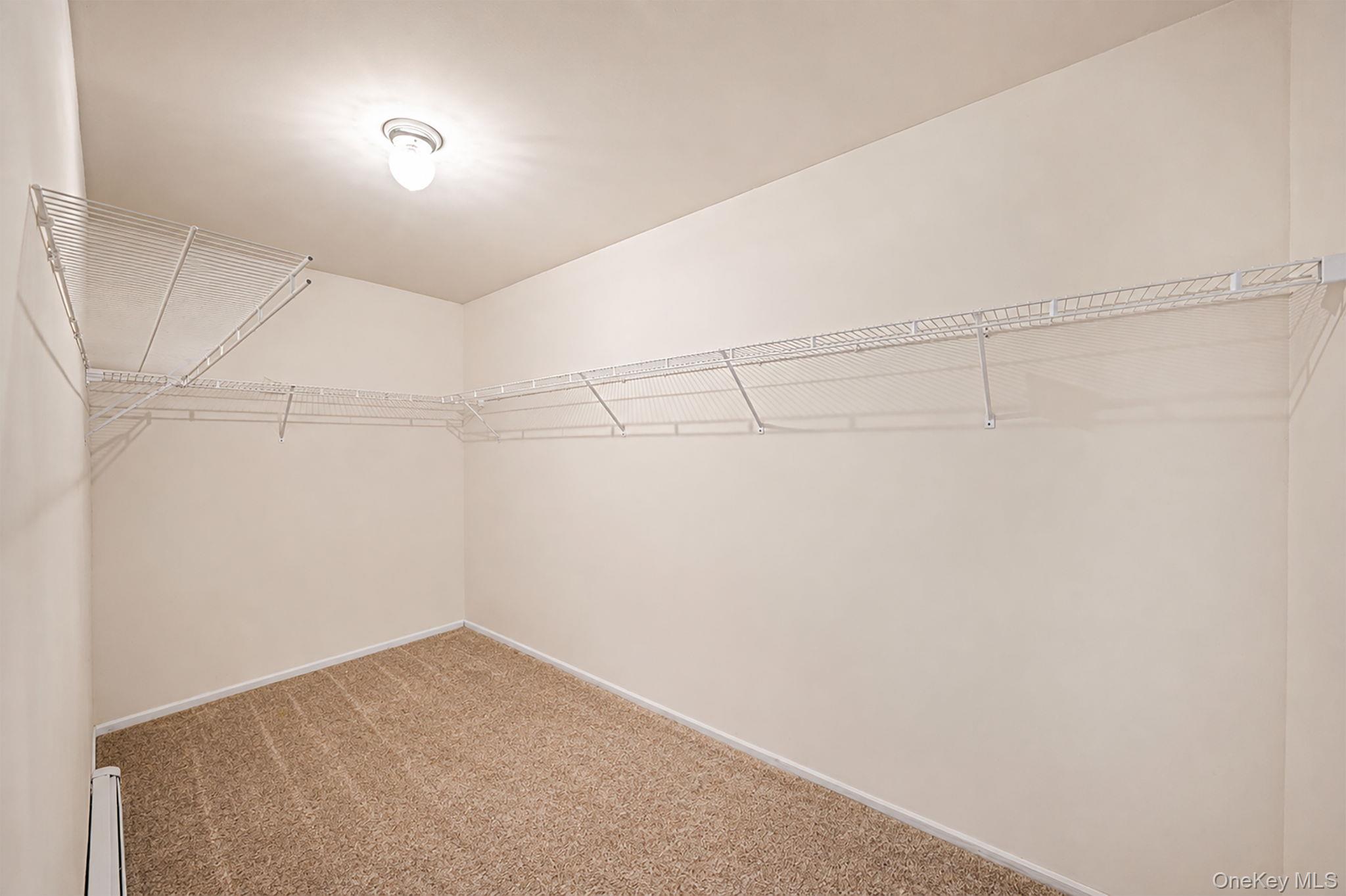 4 Clark Street Property Photo 22
