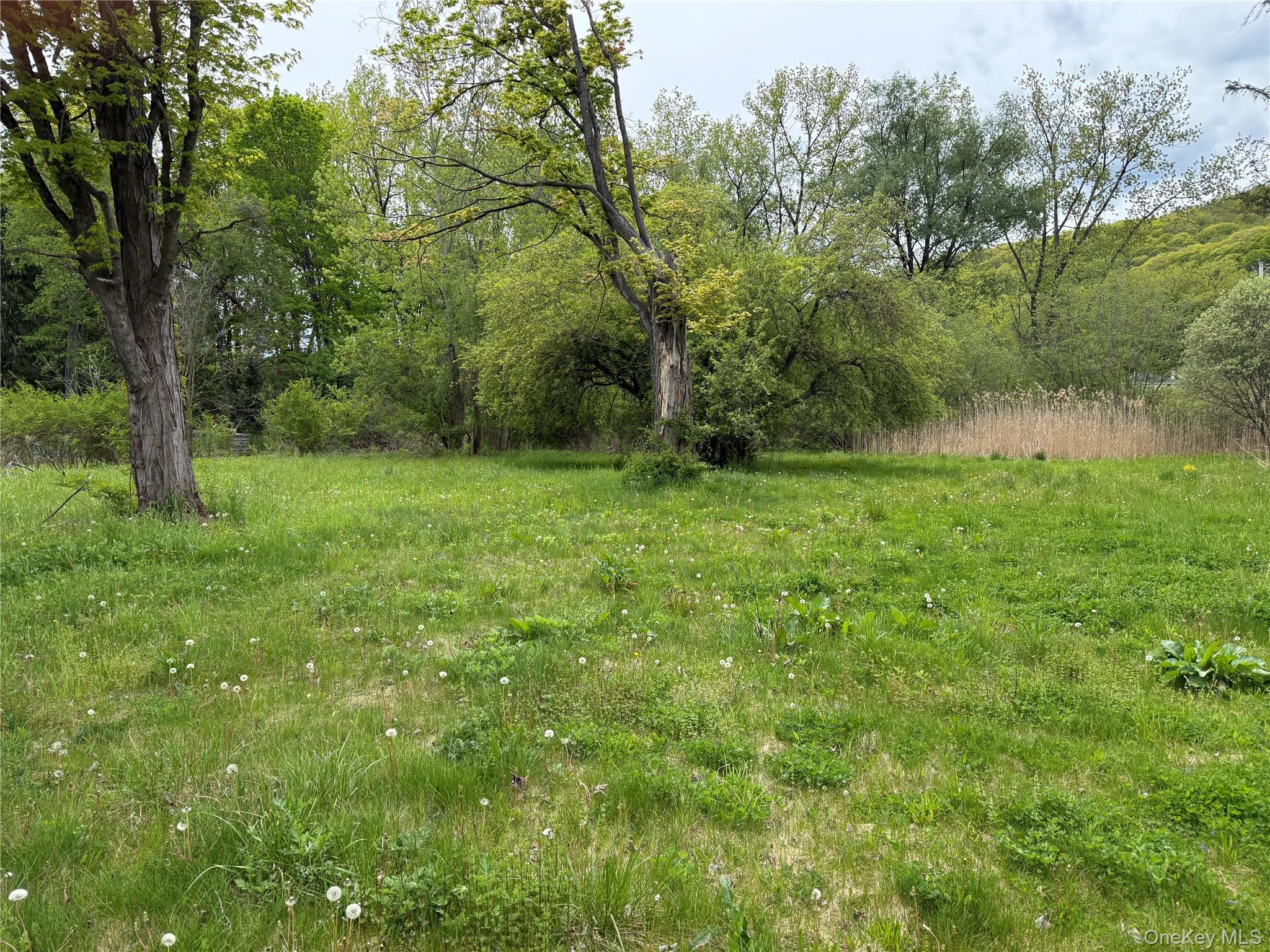 5282 Route 44 Property Photo 6