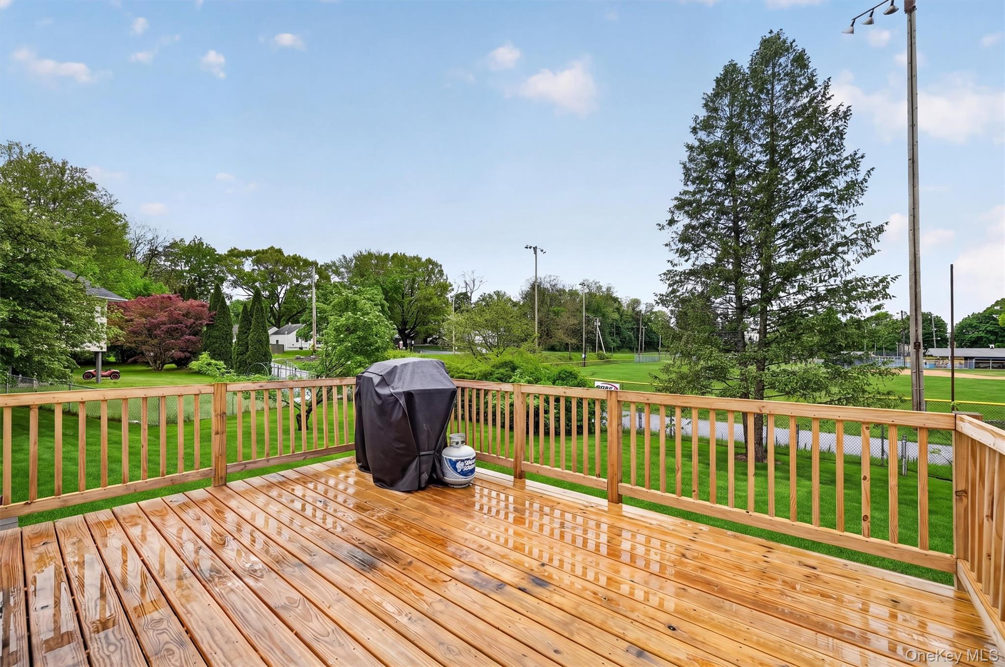 119 Blanche Avenue Property Photo 33
