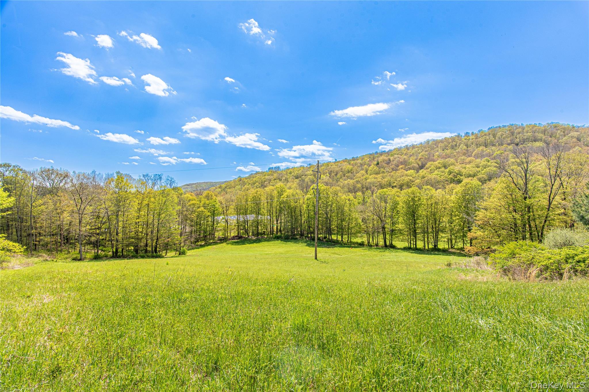 4569-4577 Rt-199 Property Photo 44