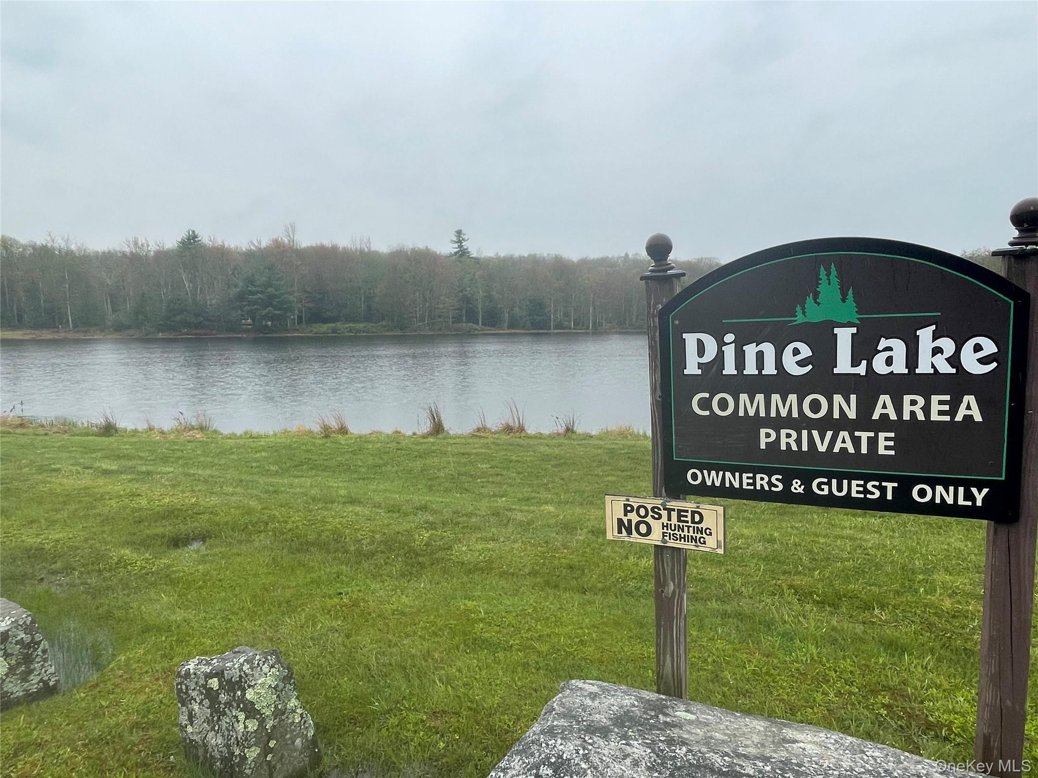 Lot # 20 Pine Lake Drive Property Photo 1