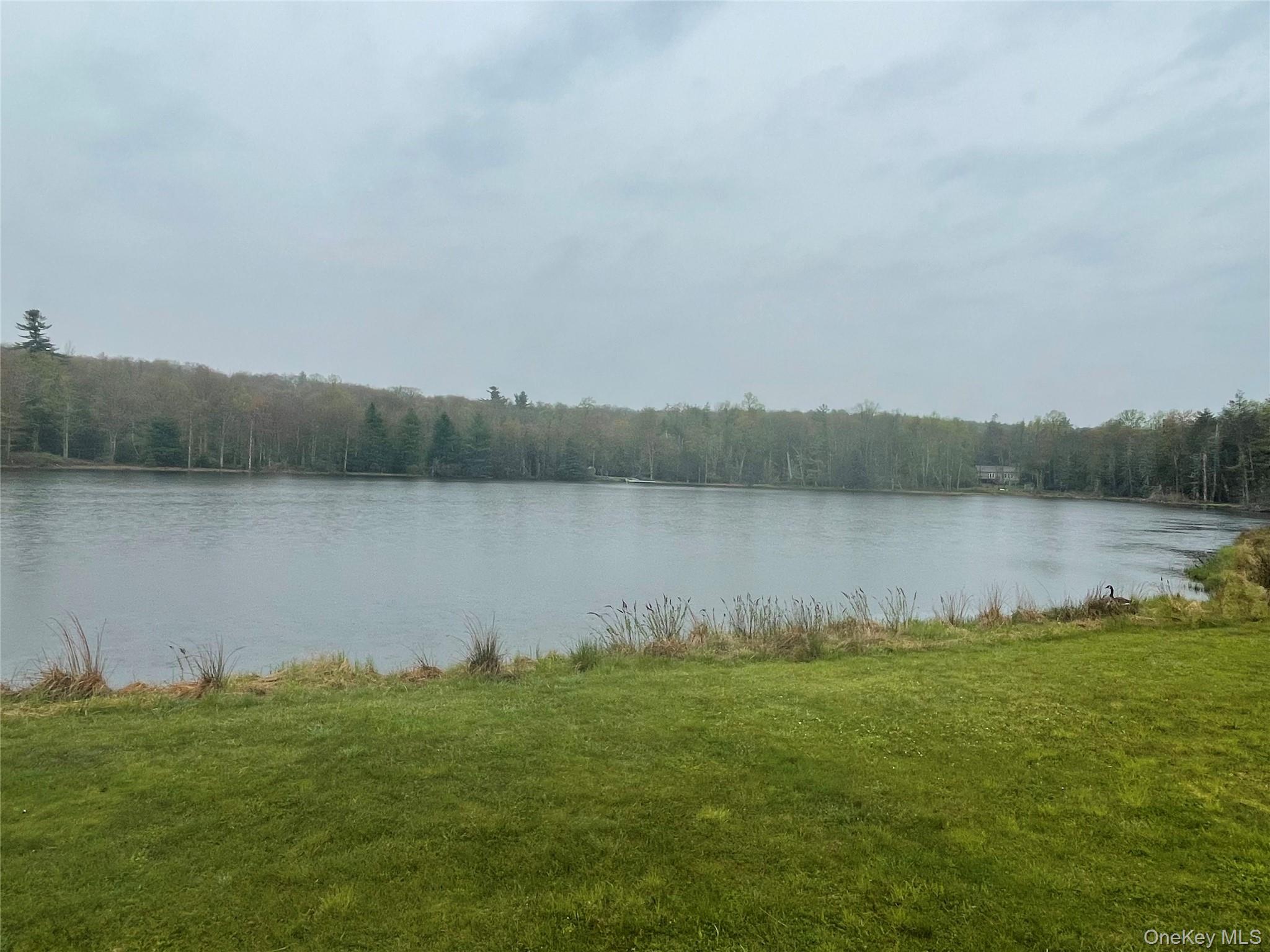 Lot # 20 Pine Lake Drive Property Photo 3