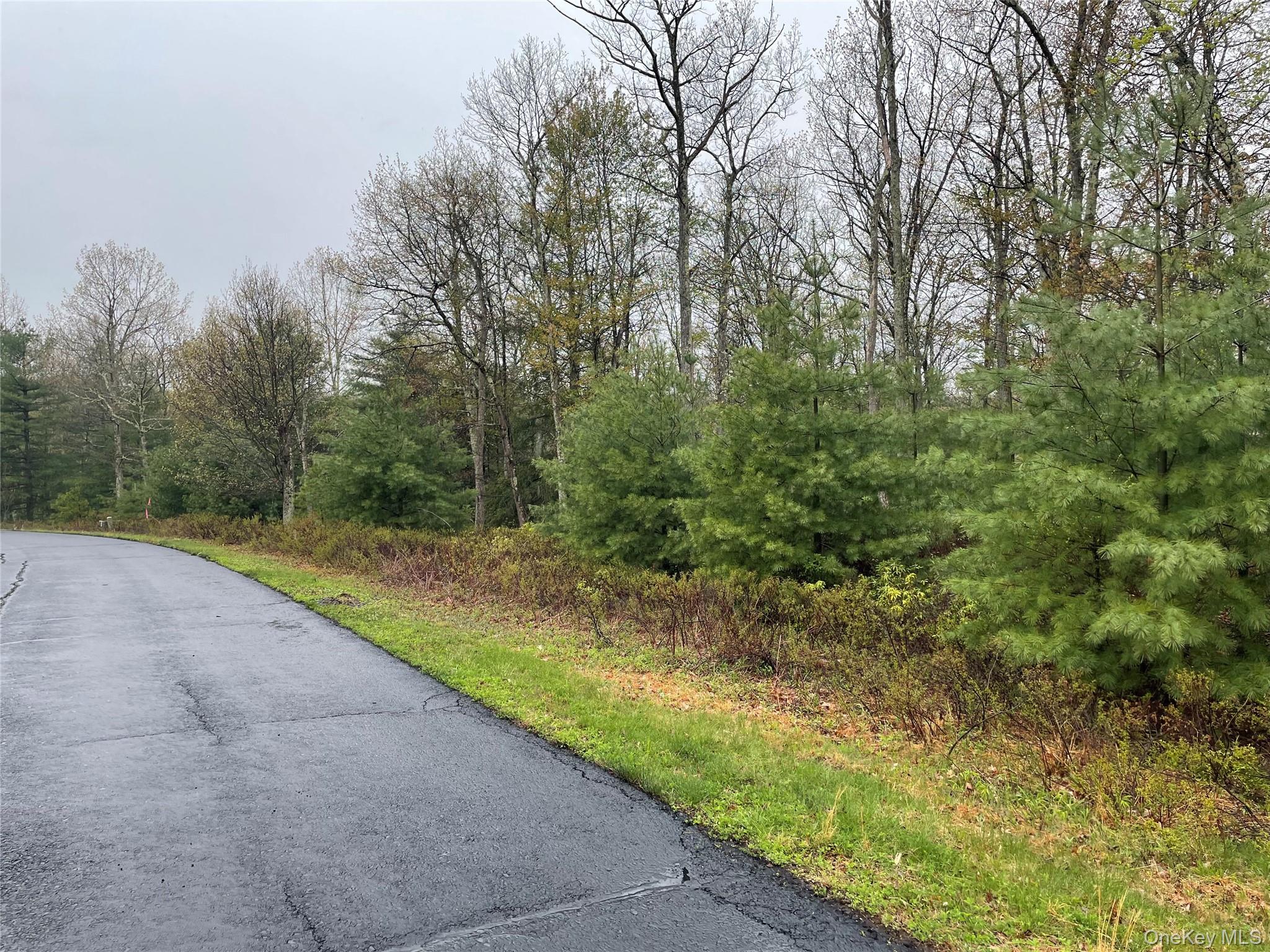 Lot # 20 Pine Lake Drive Property Photo 4