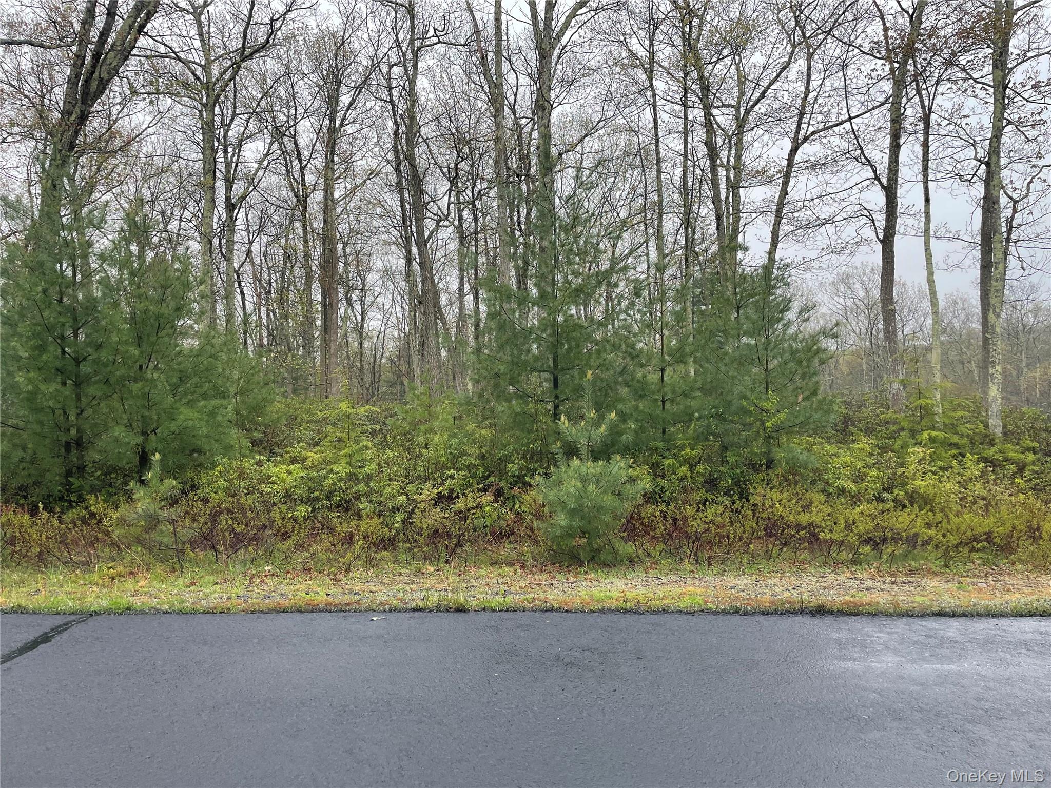 Lot # 20 Pine Lake Drive Property Photo 5