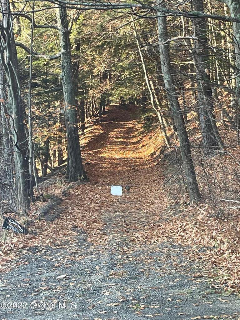 L26 & L27 Ecker Hollow Road Property Photo 2