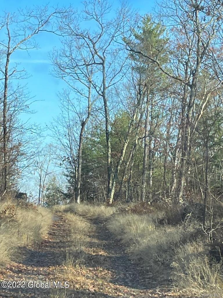 L26 & L27 Ecker Hollow Road Property Photo 3