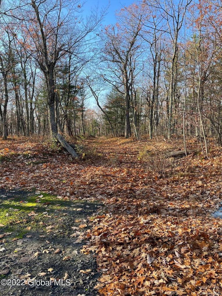 L26 & L27 Ecker Hollow Road Property Photo 8