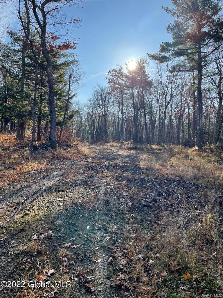 L26 & L27 Ecker Hollow Road Property Photo 9