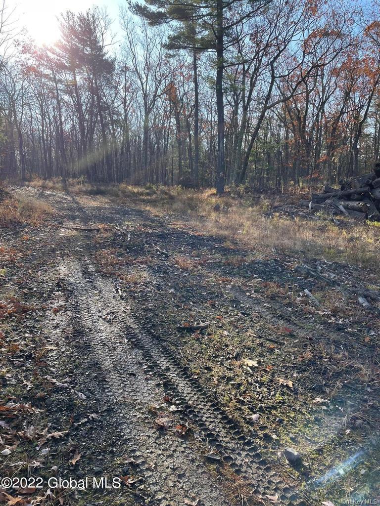 L26 & L27 Ecker Hollow Road Property Photo 10