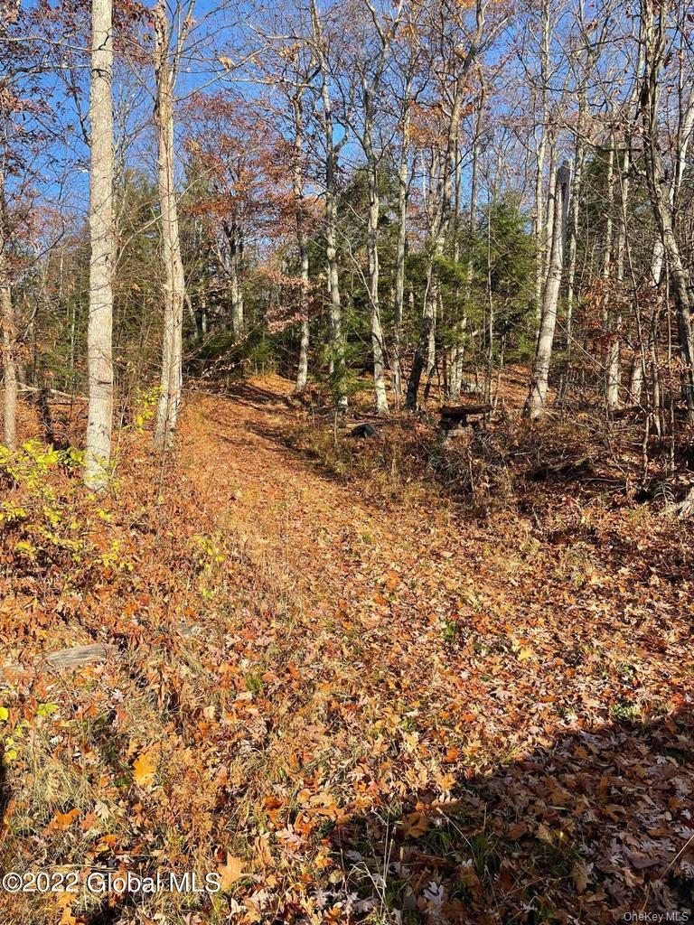 L26 & L27 Ecker Hollow Road Property Photo 11