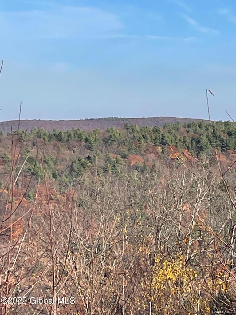 L26 & L27 Ecker Hollow Road Property Photo 16