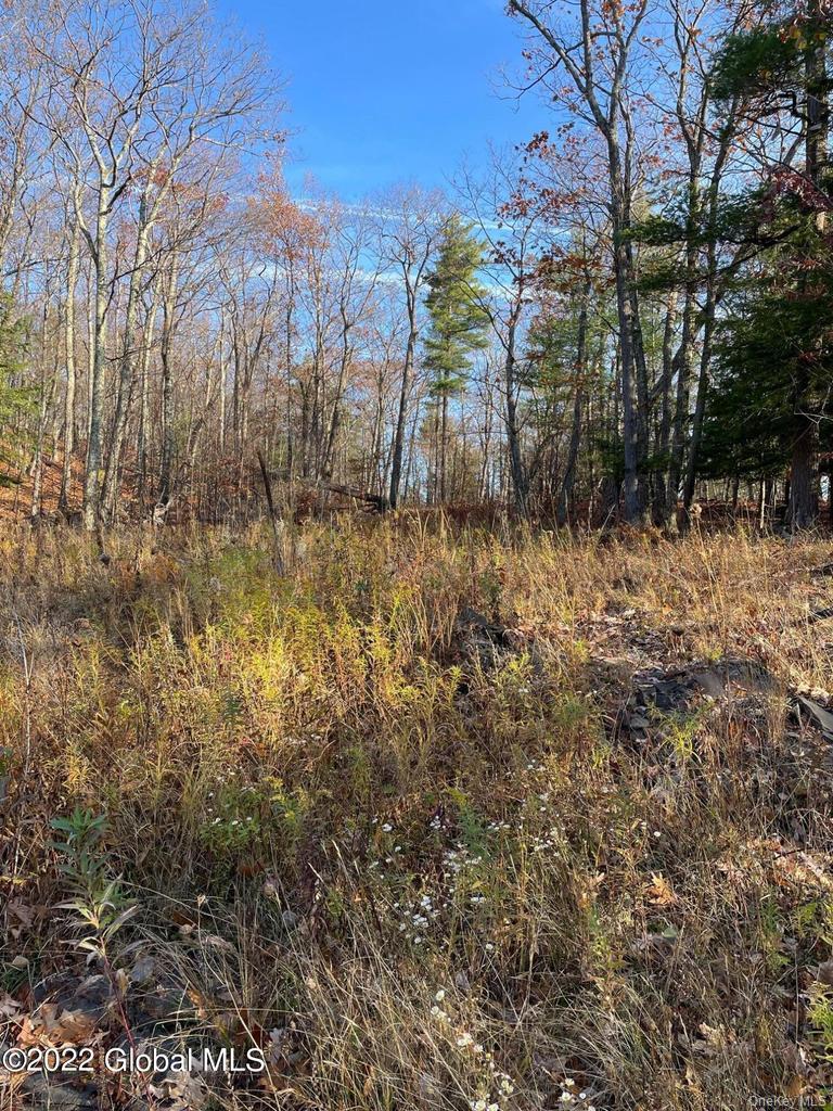 L26 & L27 Ecker Hollow Road Property Photo 18