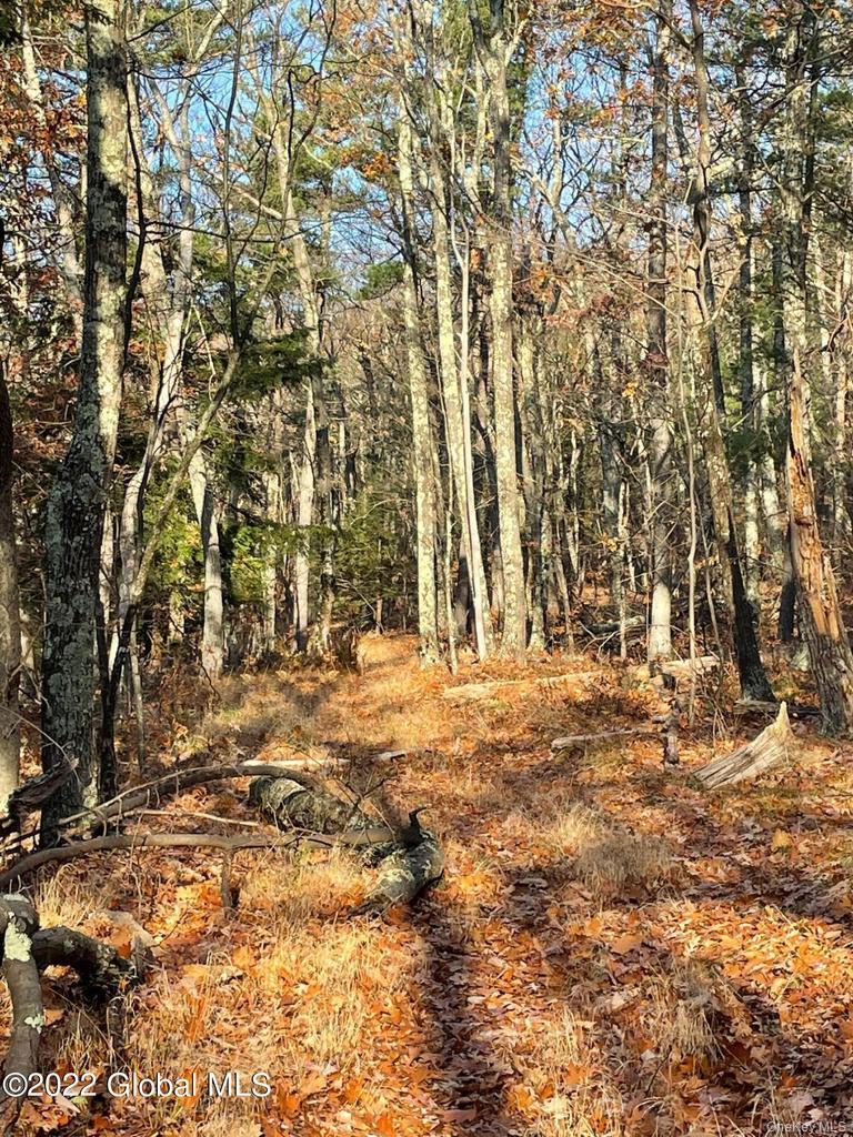 L26 & L27 Ecker Hollow Road Property Photo 19
