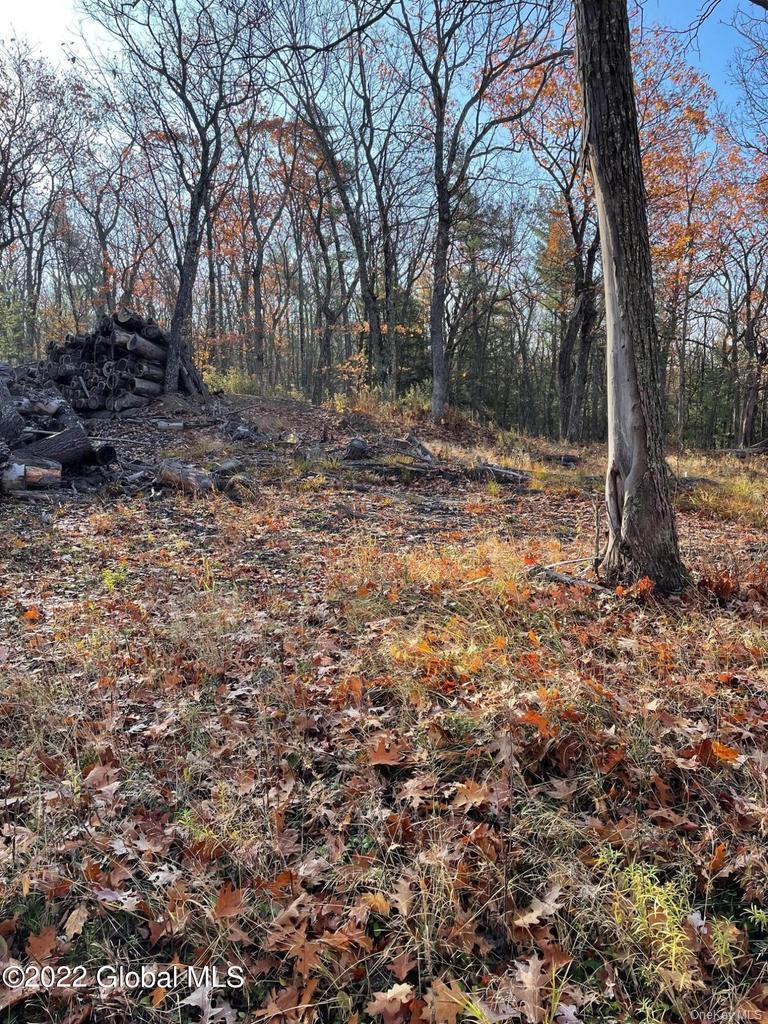 L26 & L27 Ecker Hollow Road Property Photo 20