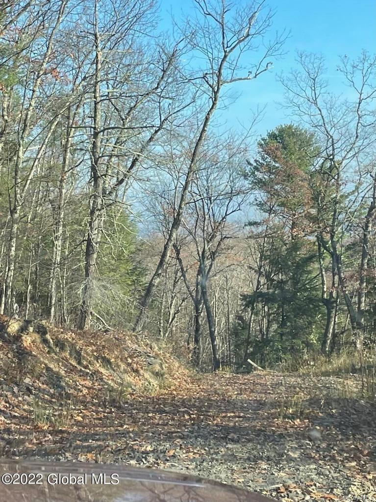 L26 & L27 Ecker Hollow Road Property Photo 21