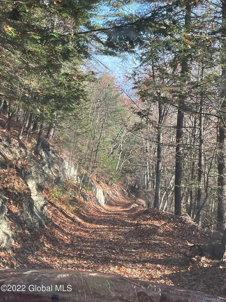 L26 & L27 Ecker Hollow Road Property Photo 22