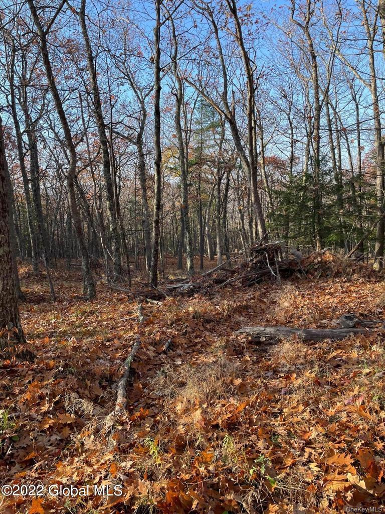 L26 & L27 Ecker Hollow Road Property Photo 24