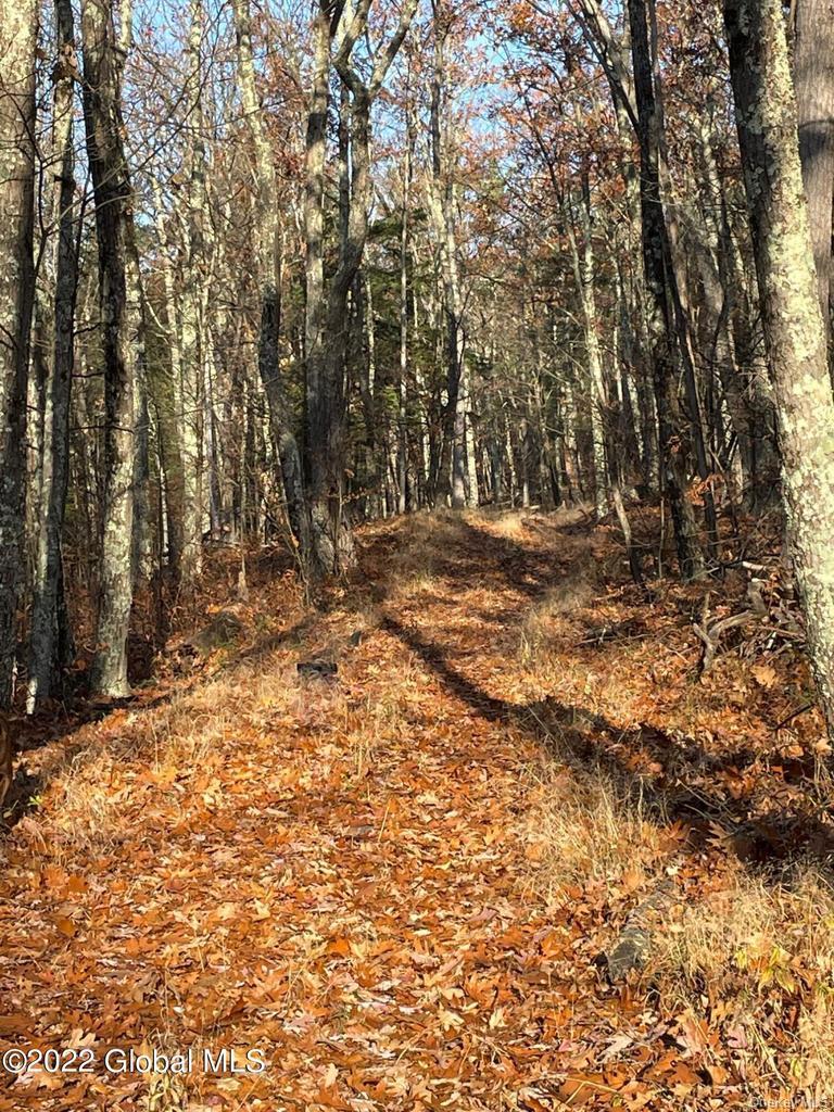 L26 & L27 Ecker Hollow Road Property Photo 25