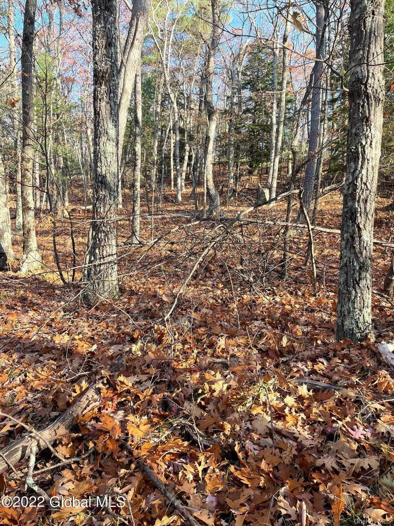 L26 & L27 Ecker Hollow Road Property Photo 26