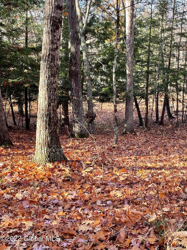L26 & L27 Ecker Hollow Road Property Photo 28
