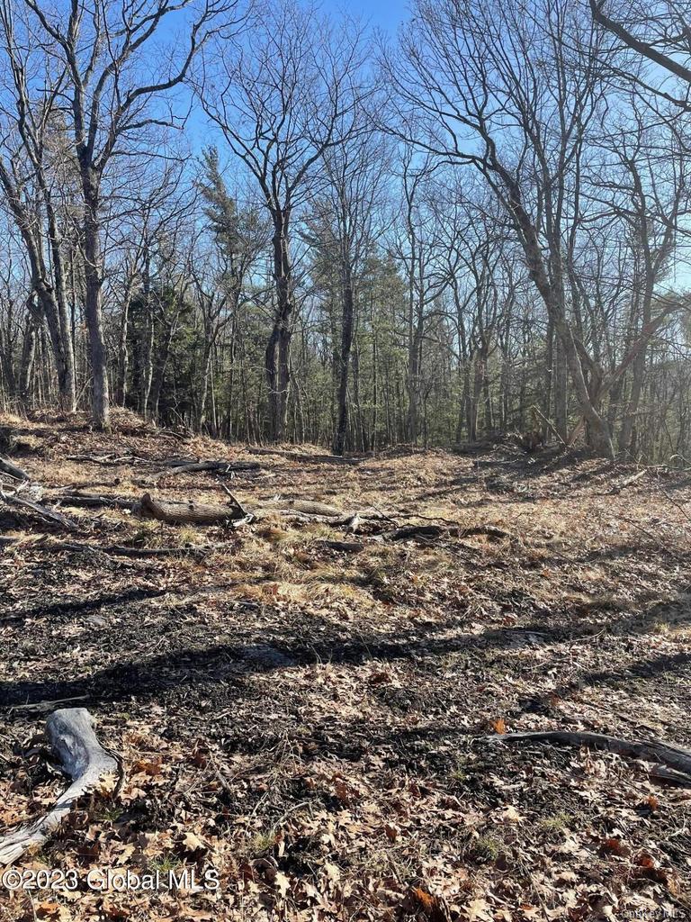L26 & L27 Ecker Hollow Road Property Photo 29