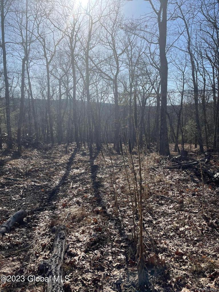 L26 & L27 Ecker Hollow Road Property Photo 30