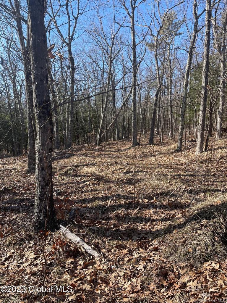 L26 & L27 Ecker Hollow Road Property Photo 31