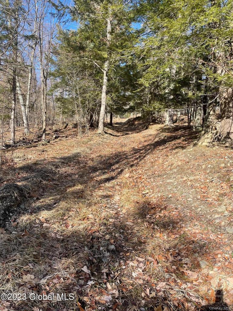 L26 & L27 Ecker Hollow Road Property Photo 32