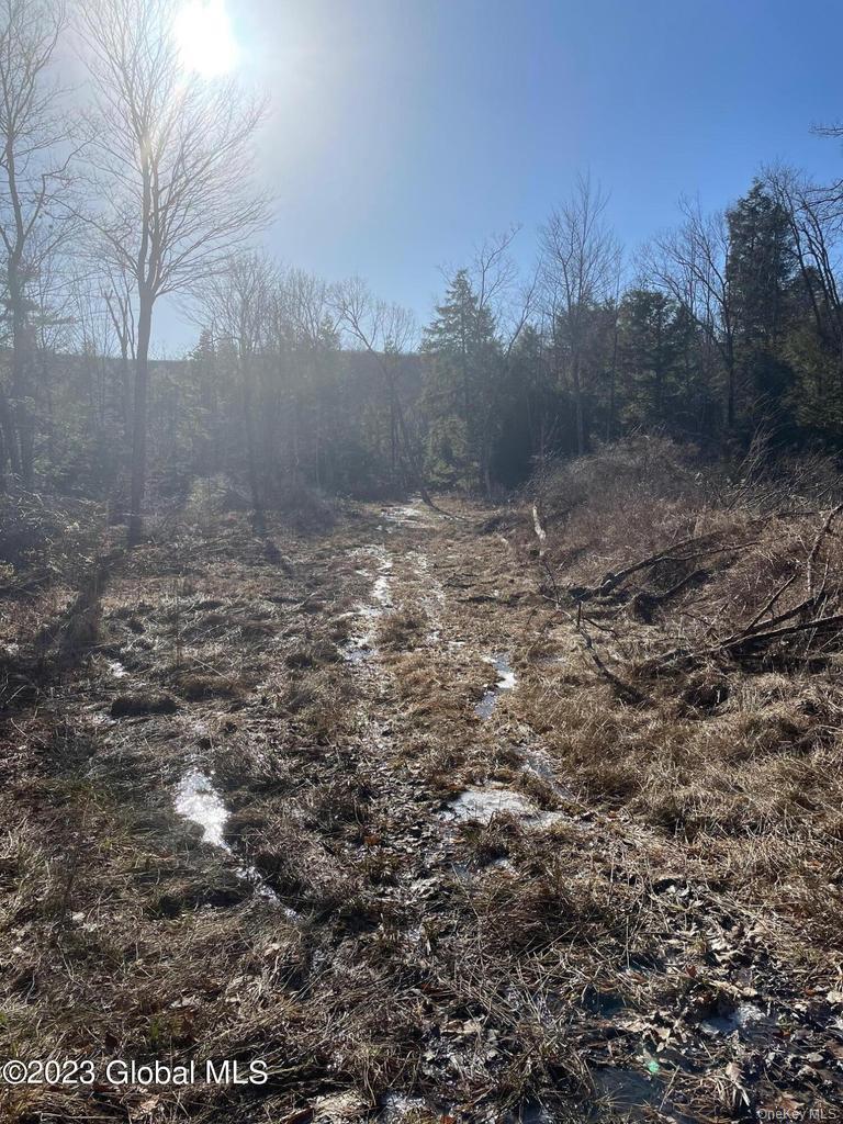 L26 & L27 Ecker Hollow Road Property Photo 33